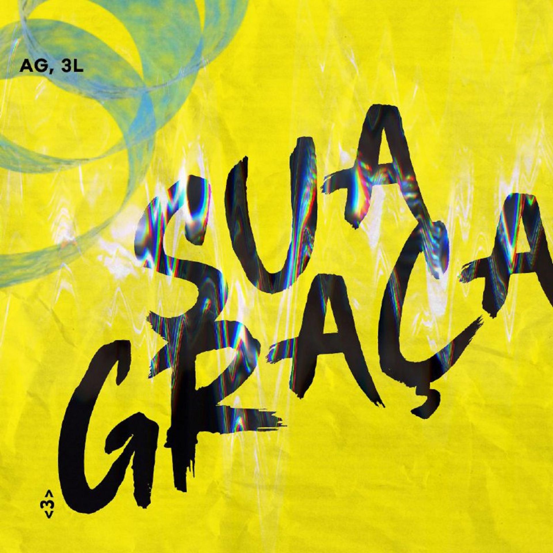 Постер альбома Sua Graça