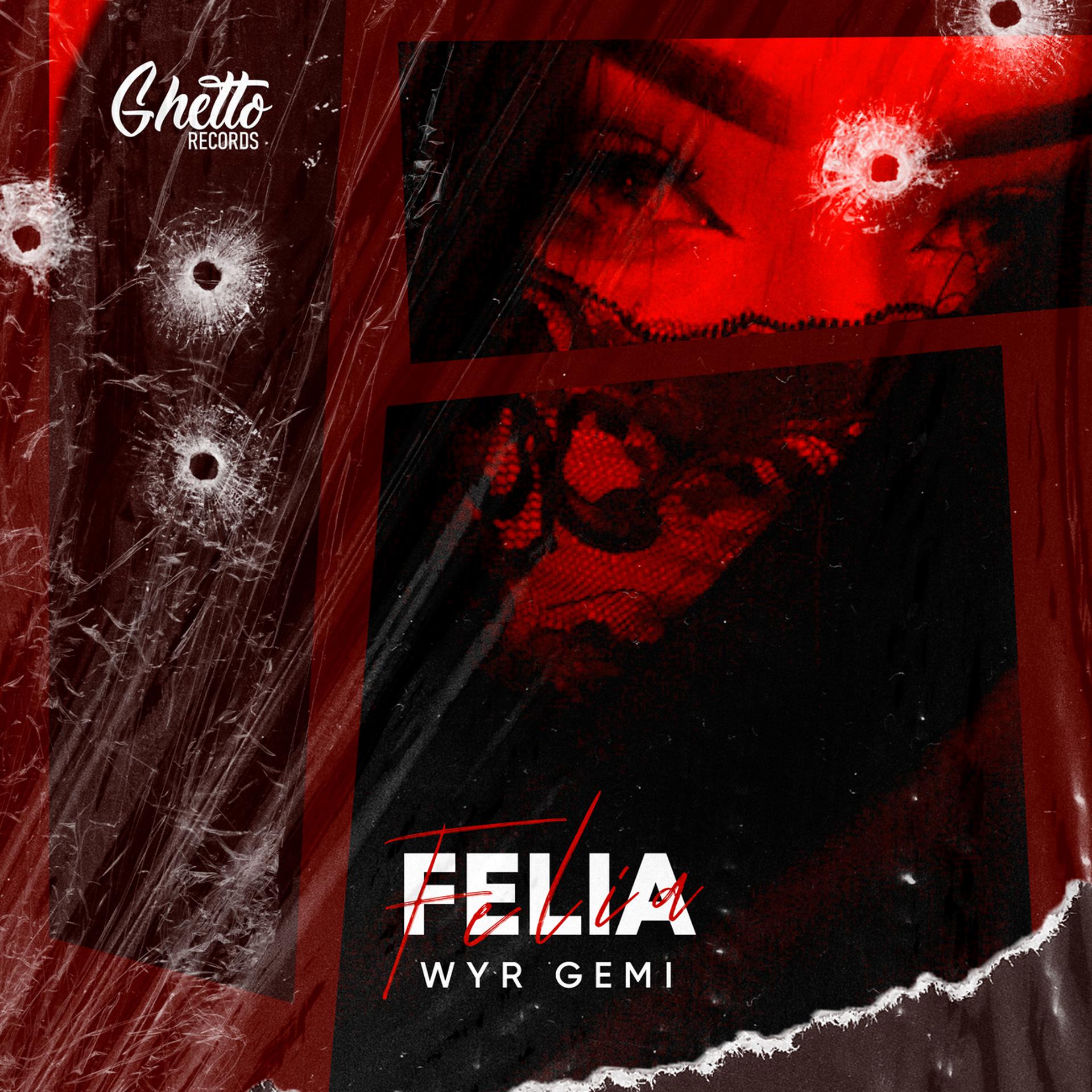 Постер альбома Felia