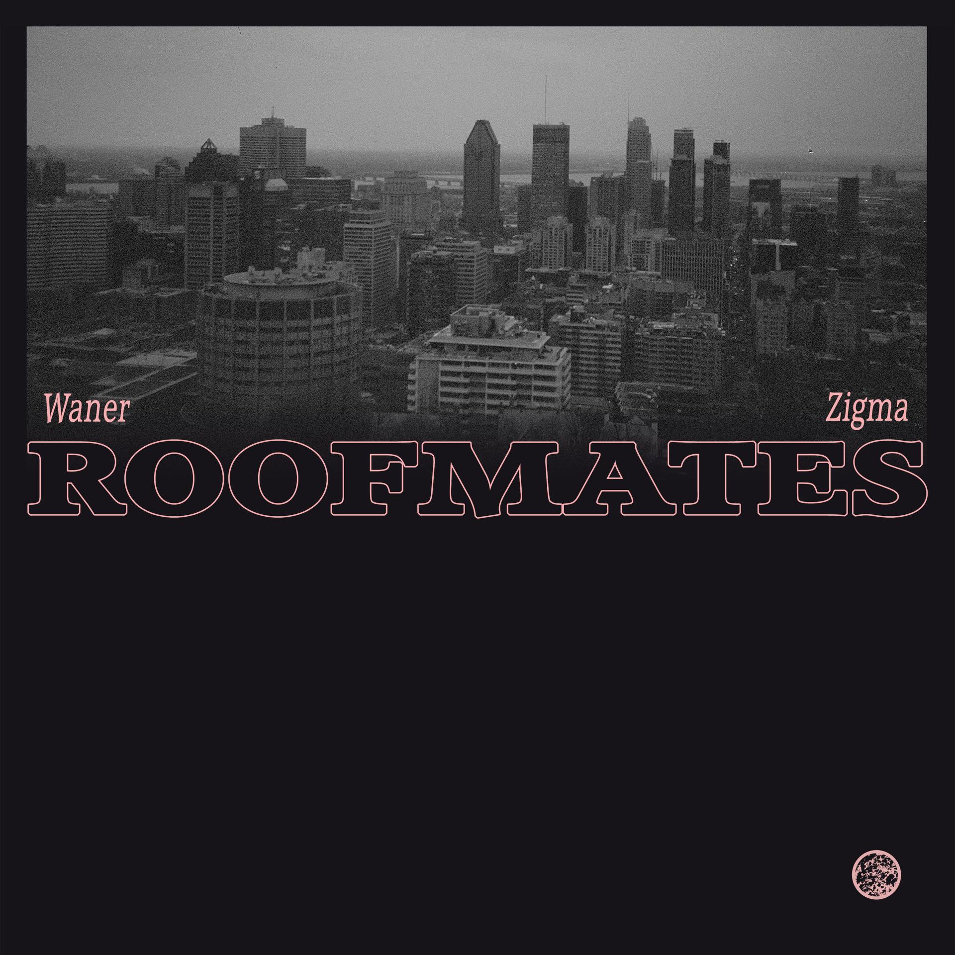 Постер альбома Roofmates