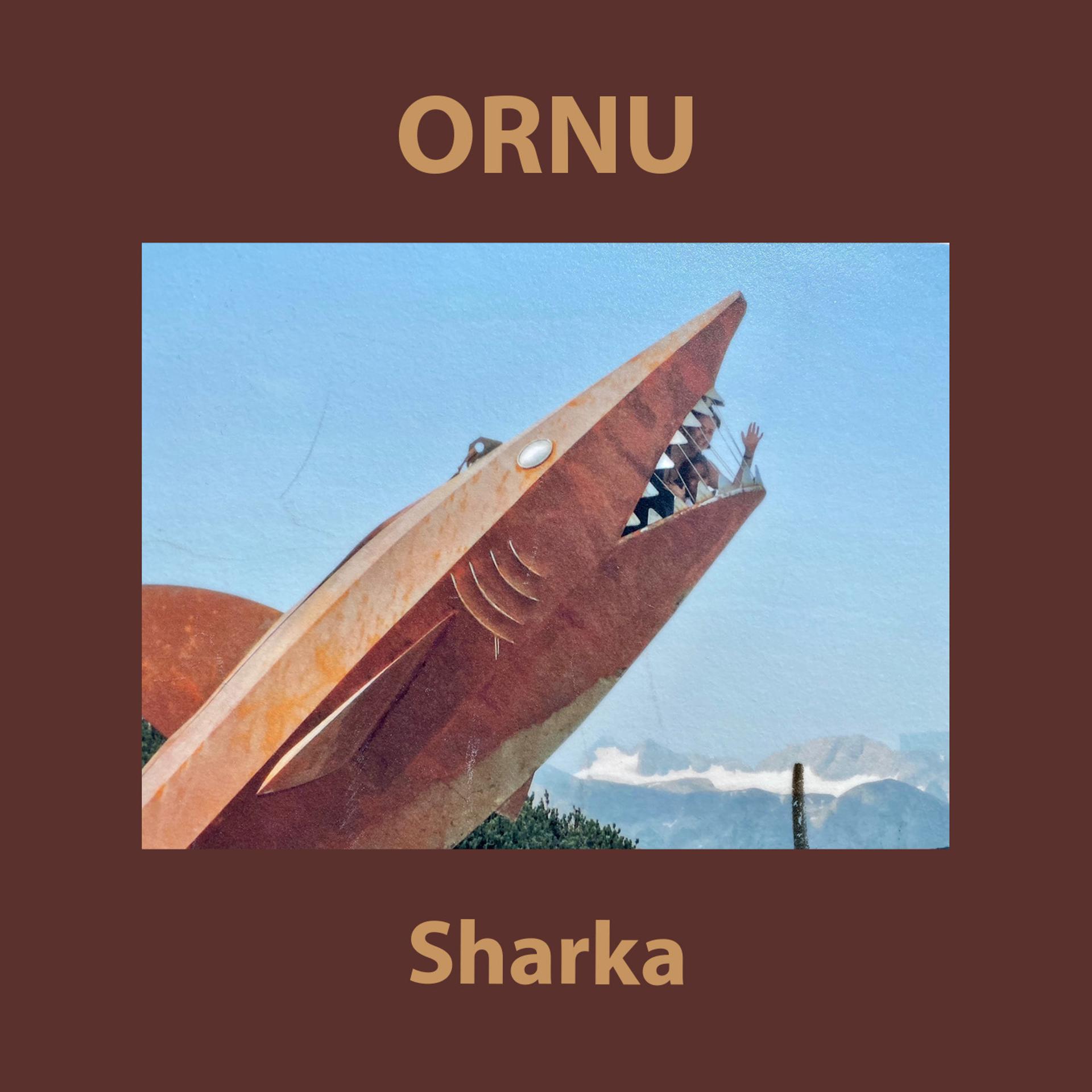 Постер альбома Sharka