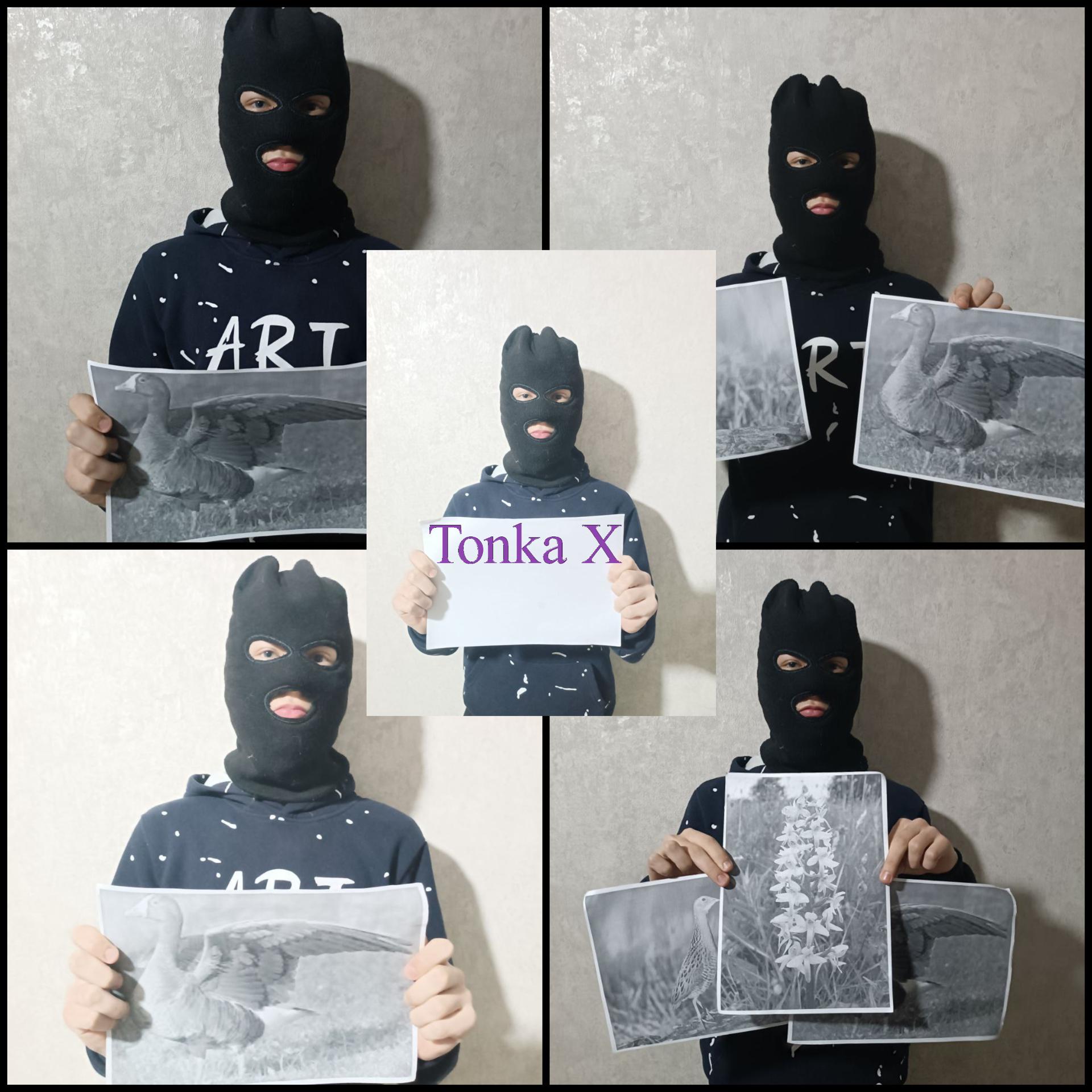 Постер альбома Tonka X (feat. 165taburetka)