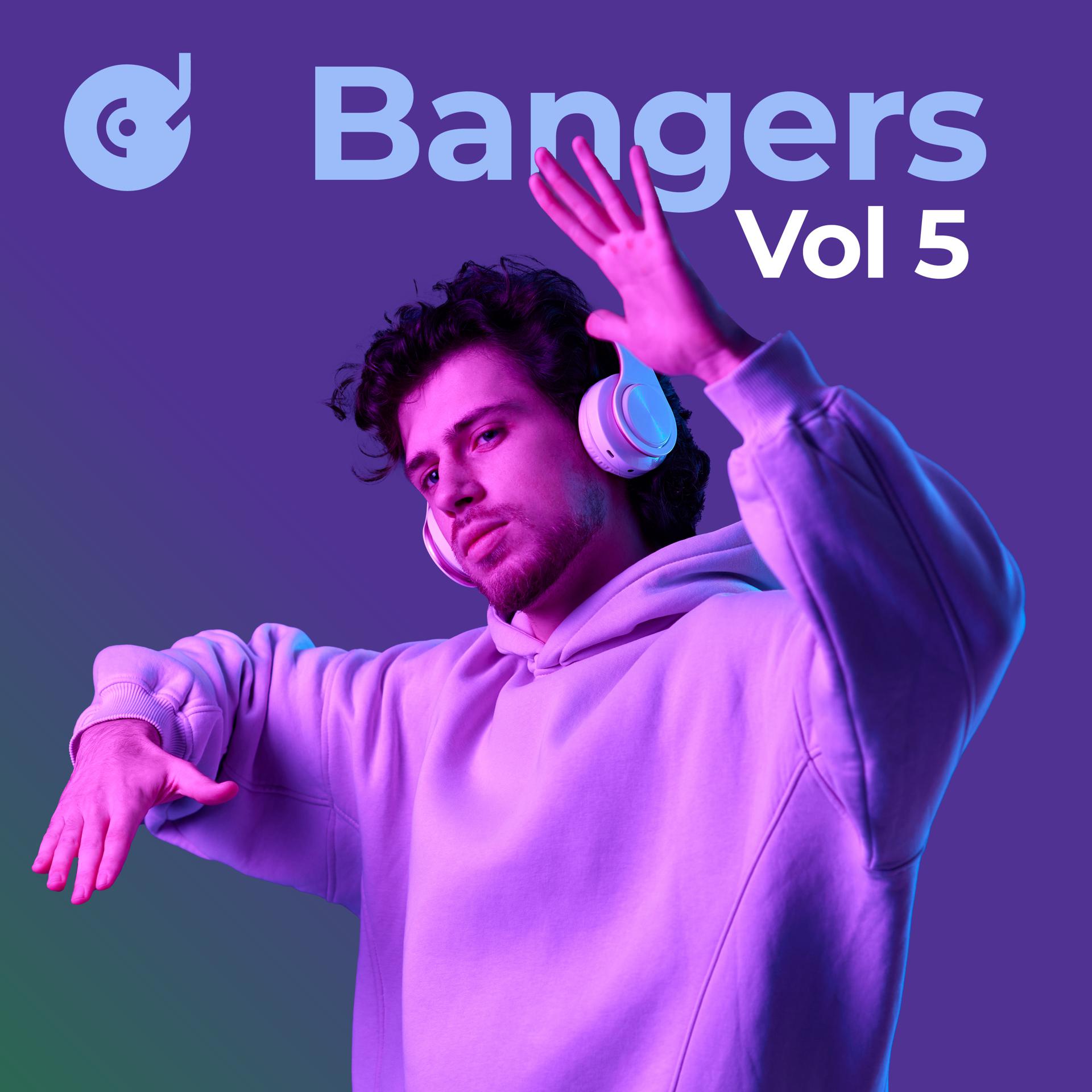 Постер альбома Bangers, Vol. 5