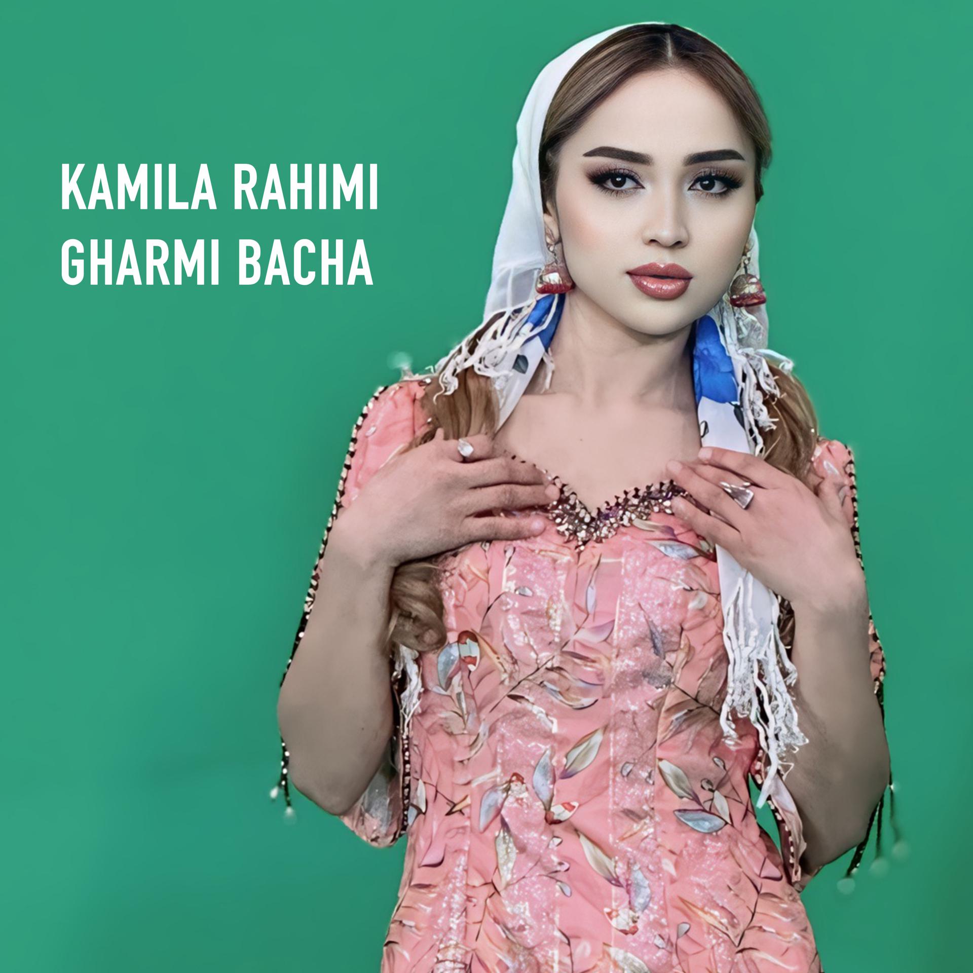 Постер альбома Gharmi bacha