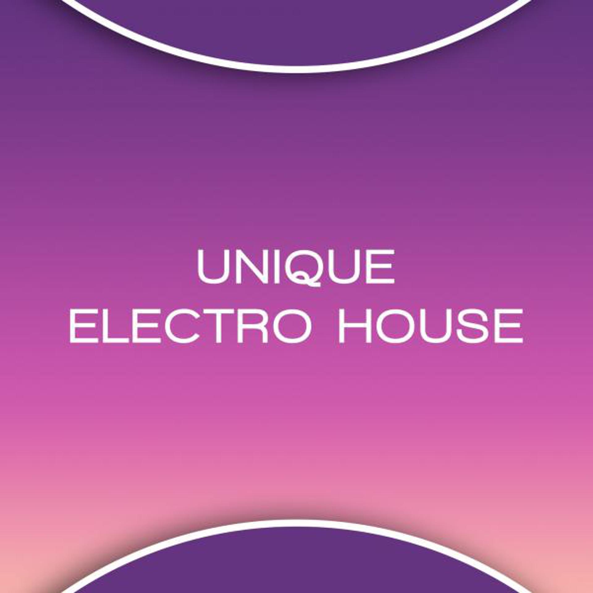 Постер альбома Unique Electro House