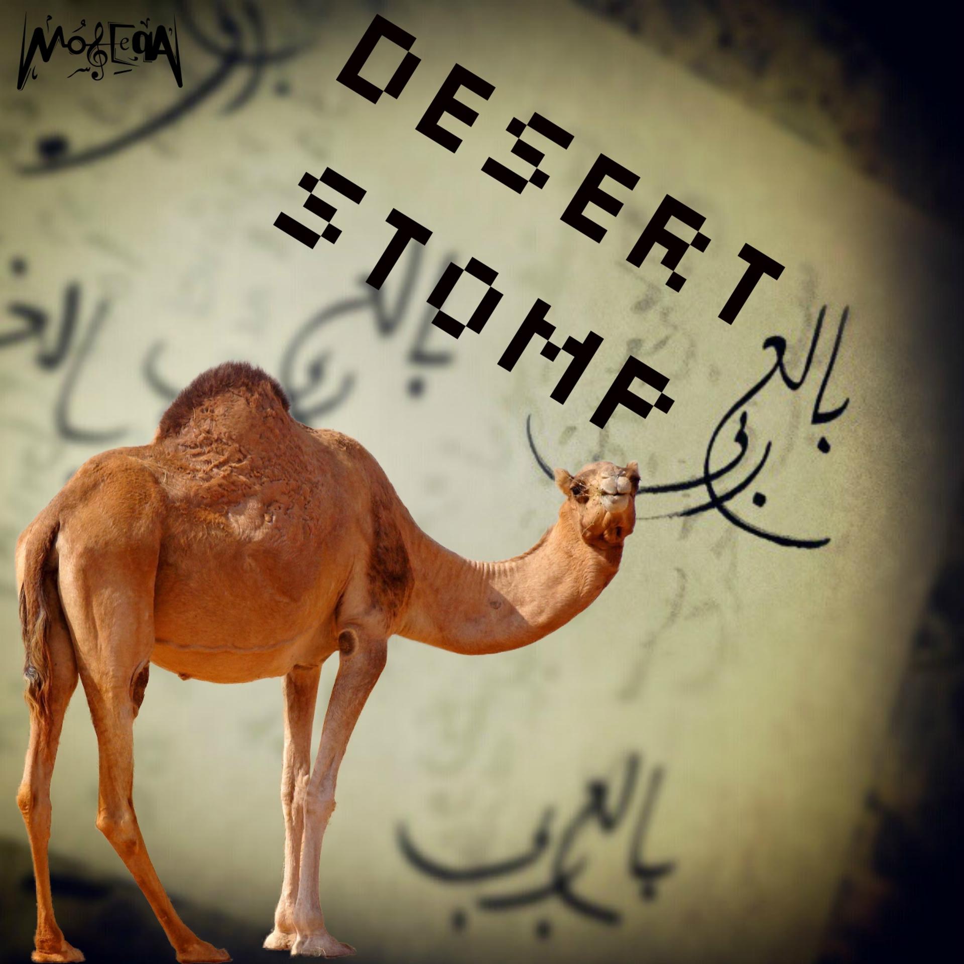 Постер альбома Desert Stomp