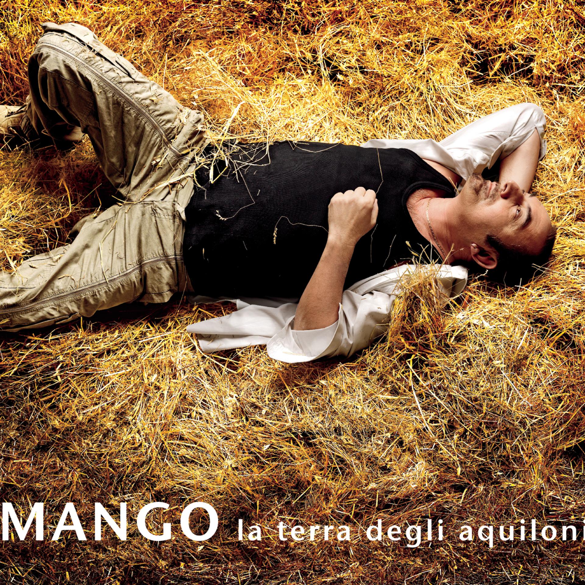 Постер альбома La terra degli aquiloni