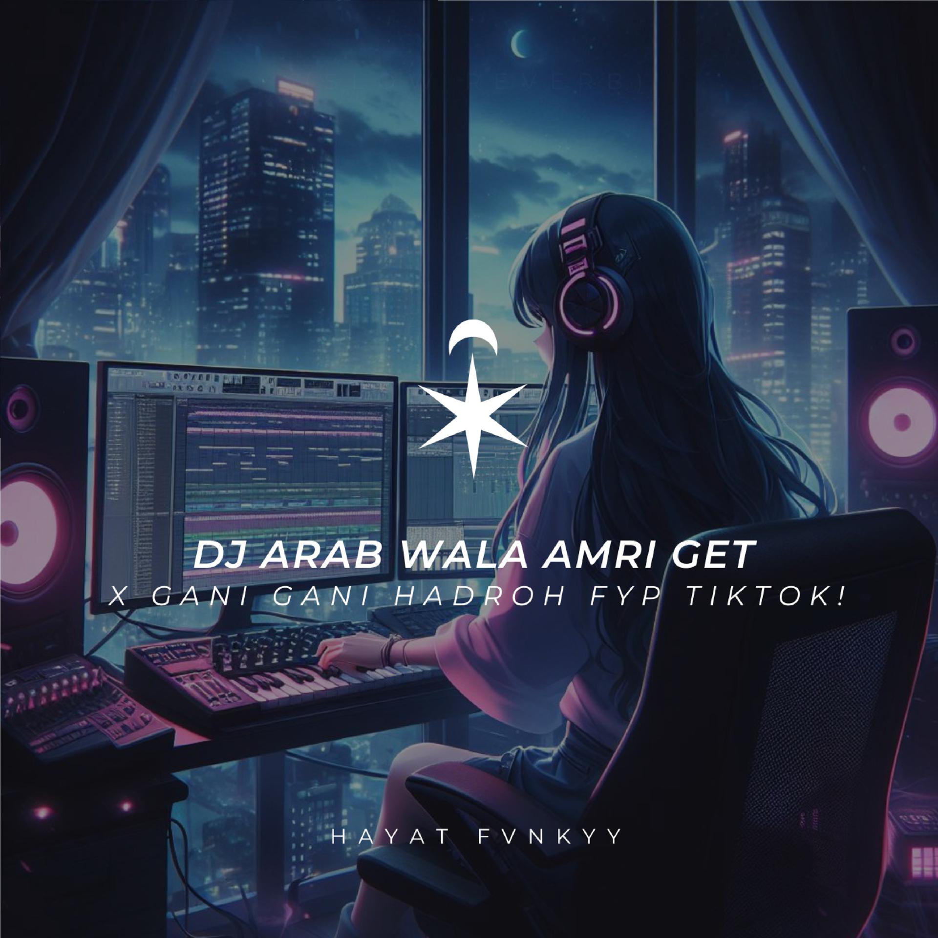 Постер альбома DJ Arab Wala Amri Get X Gani Gani Hadroh Fyp Tiktok!