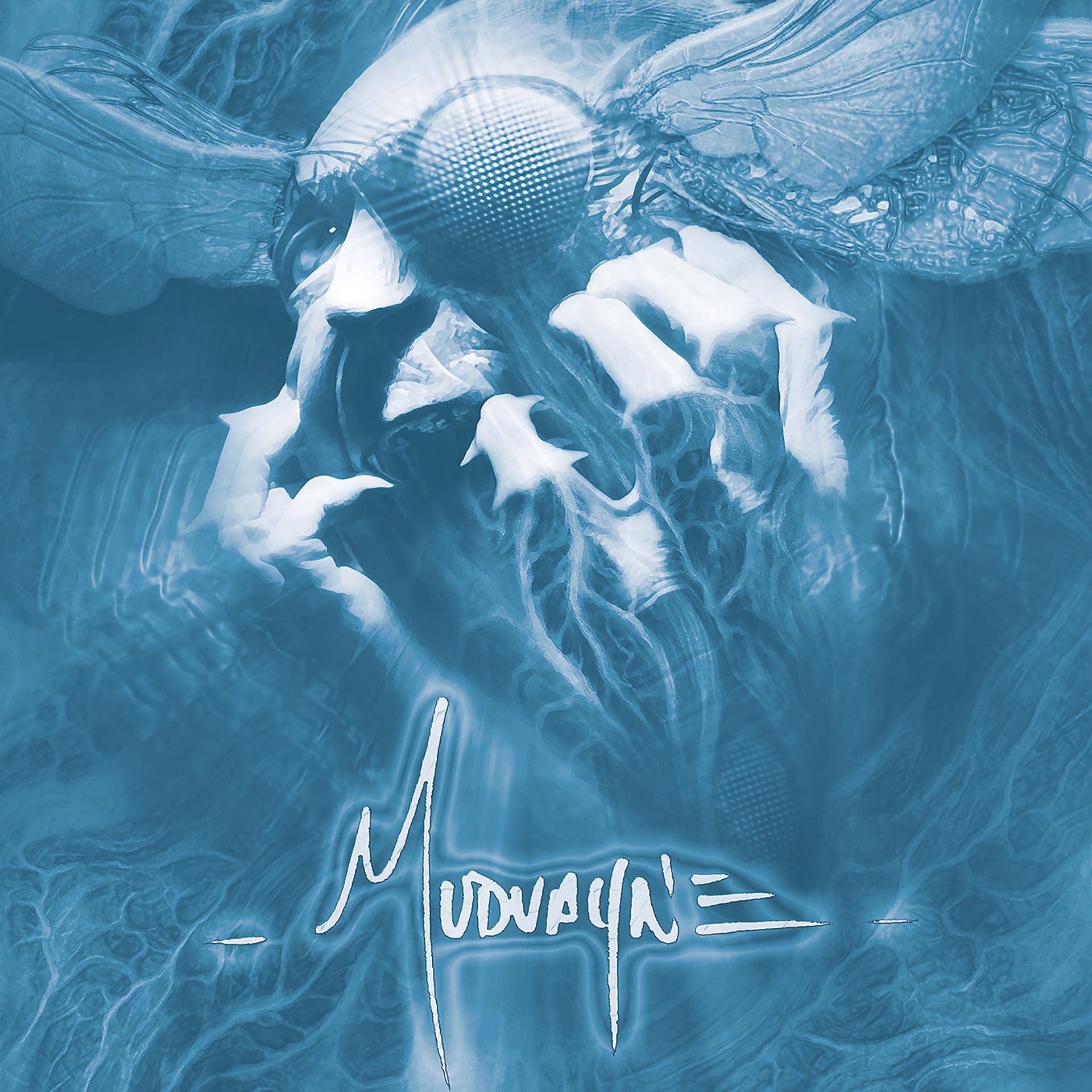 Постер альбома Mudvayne