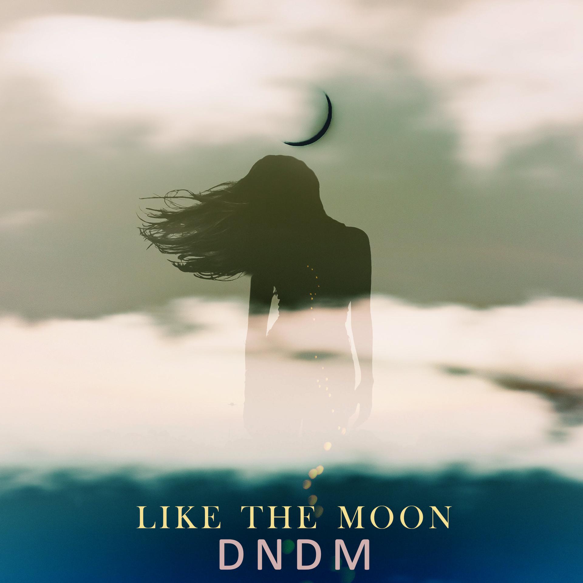 Постер альбома Like the Moon