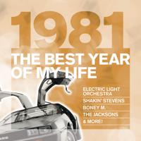 Постер альбома The Best Year Of My Life: 1981G010004775674D