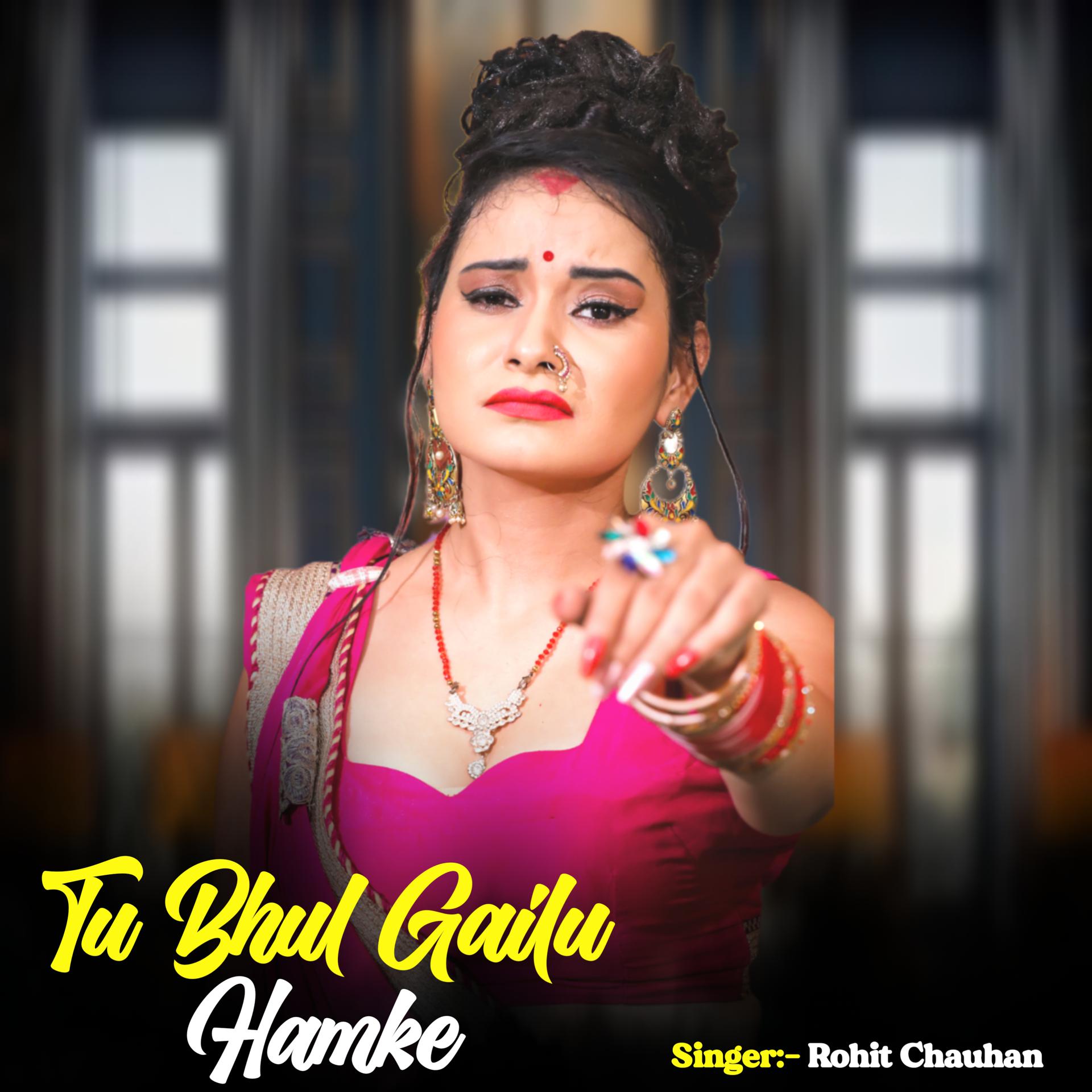Постер альбома Tu Bhul Gailu Hamke