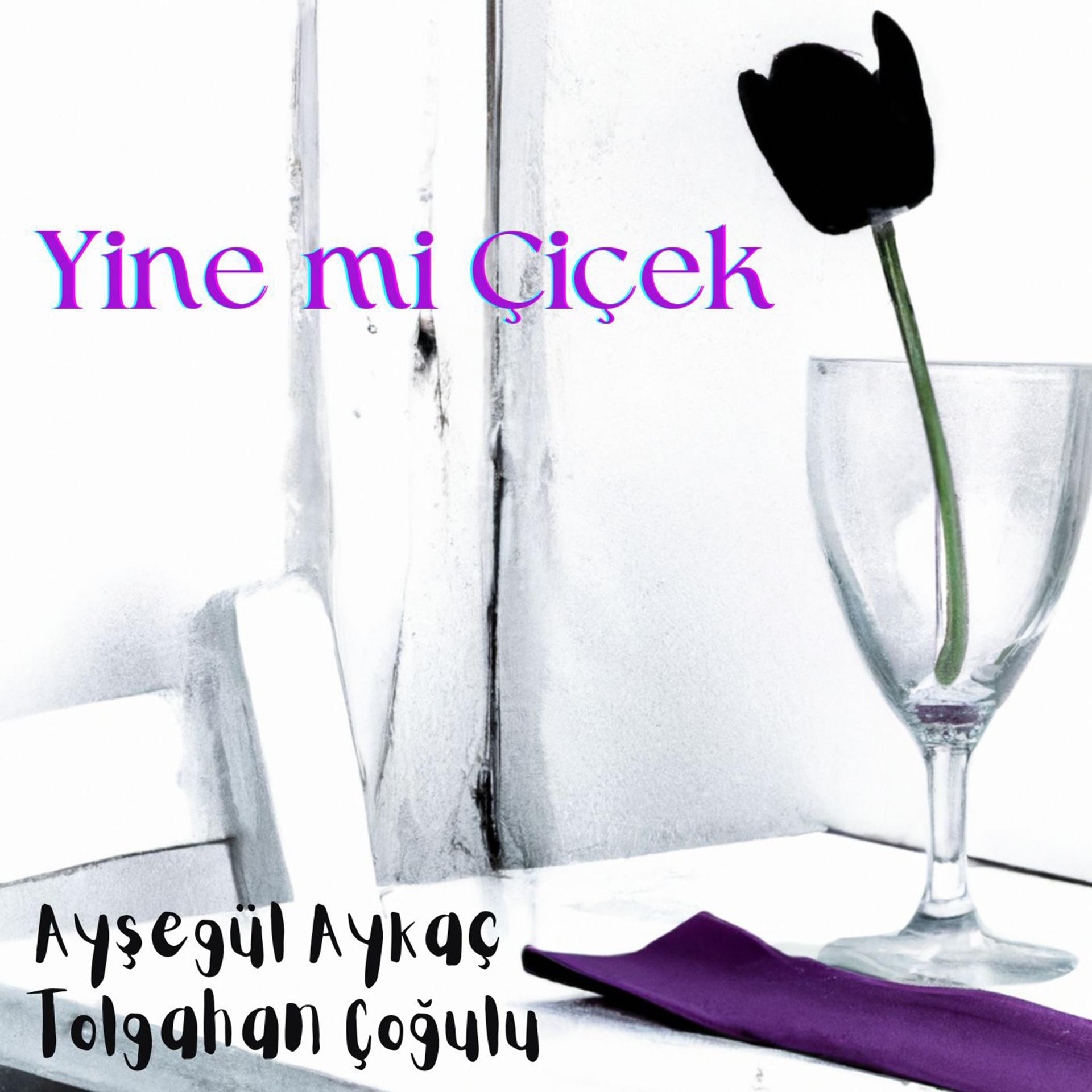 Постер альбома Yine mi Çiçek