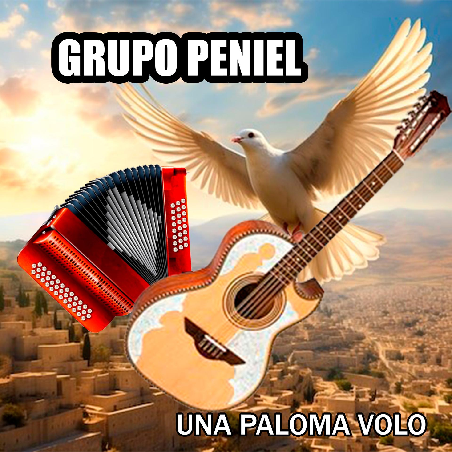 Постер альбома Una Paloma Volo