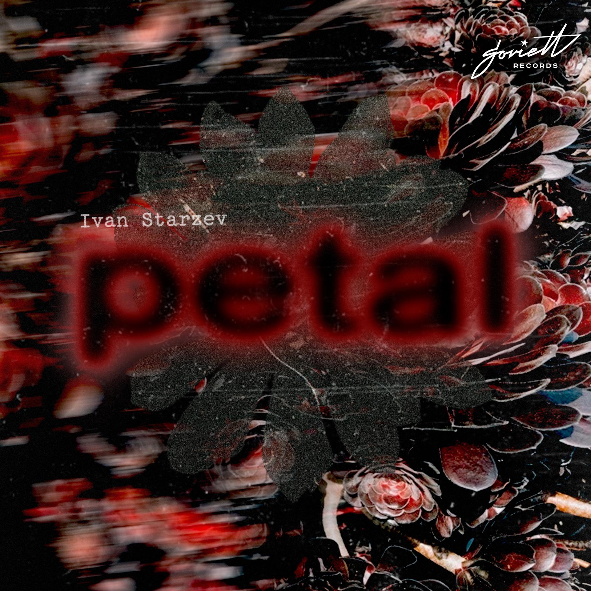 Постер альбома Petal