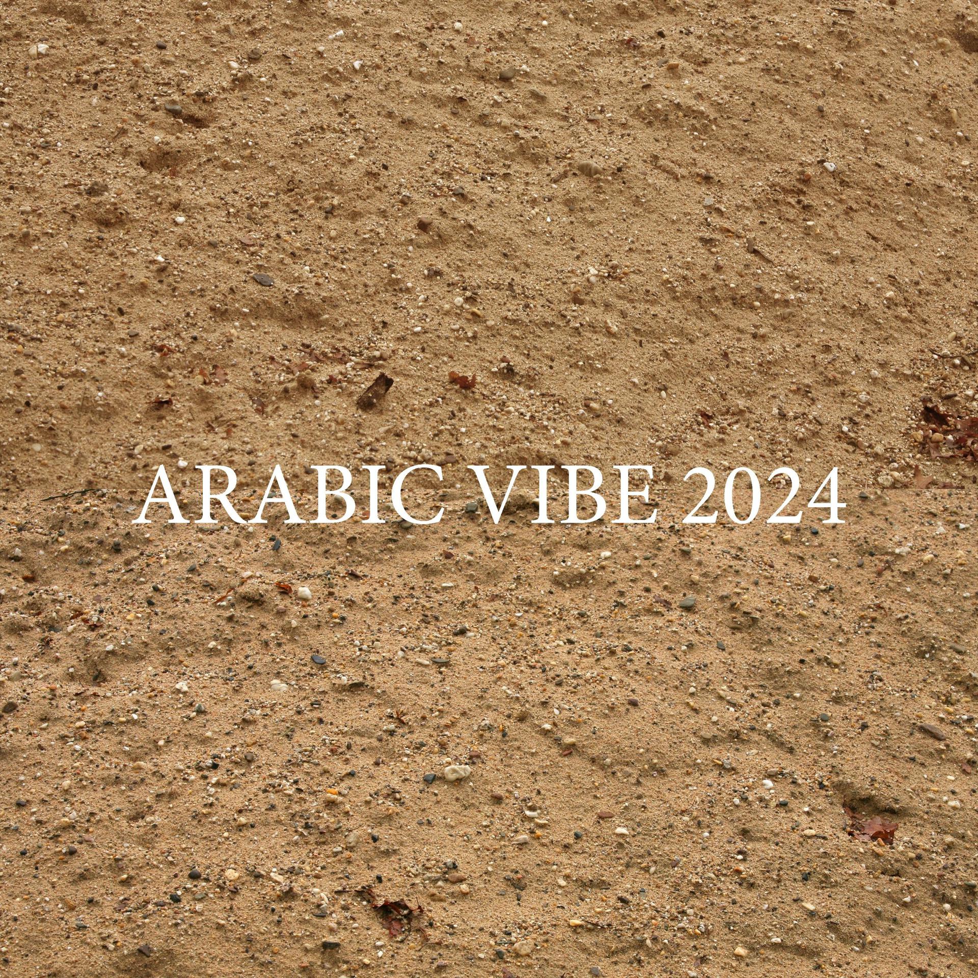 Постер альбома Arabic vibe 2024