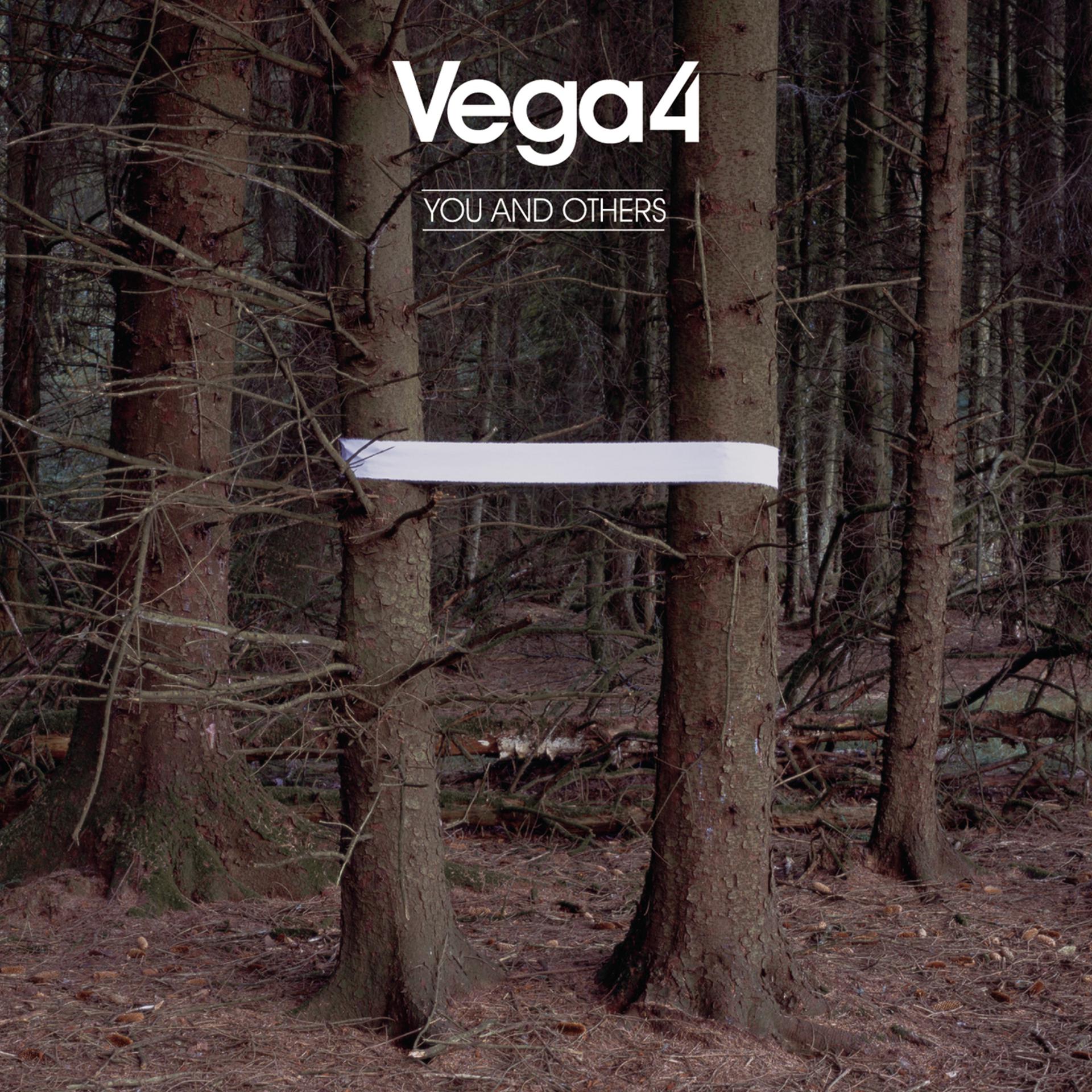 Постер к треку VEGA4 - Tearing Me Apart