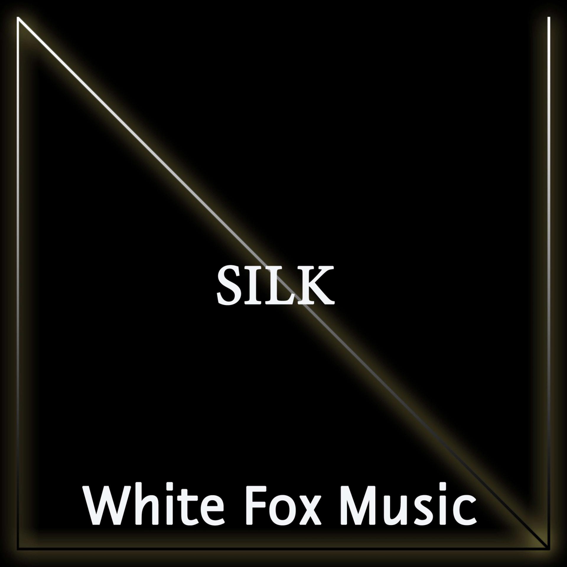 Постер альбома Silk