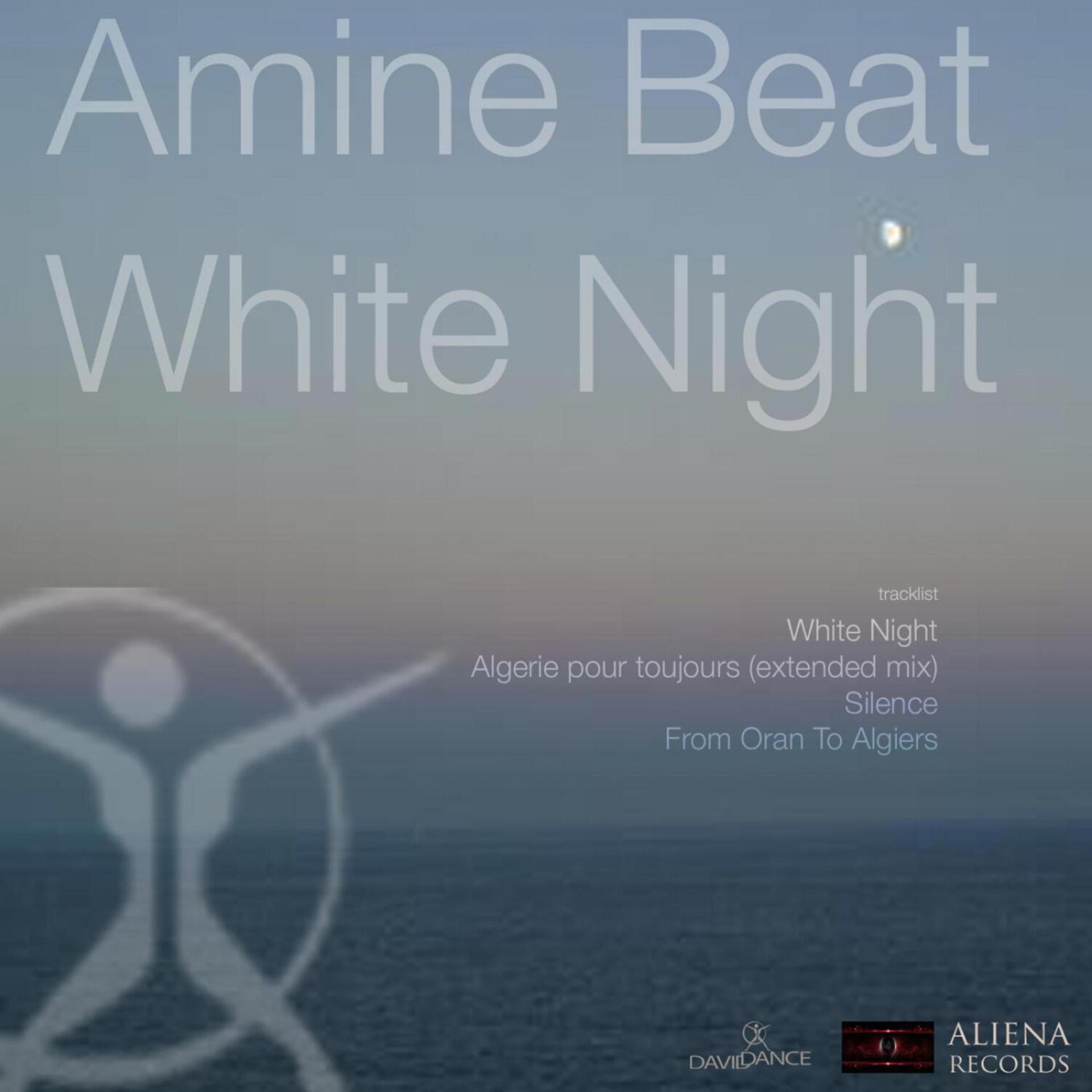 Постер альбома White Night