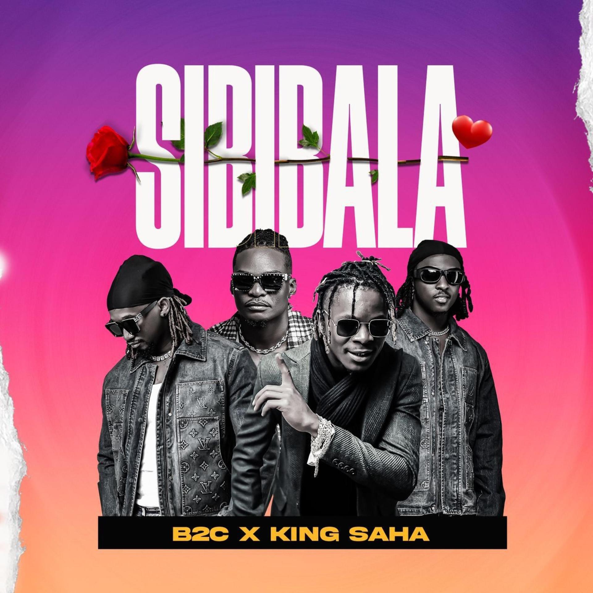 Постер альбома Sibibala
