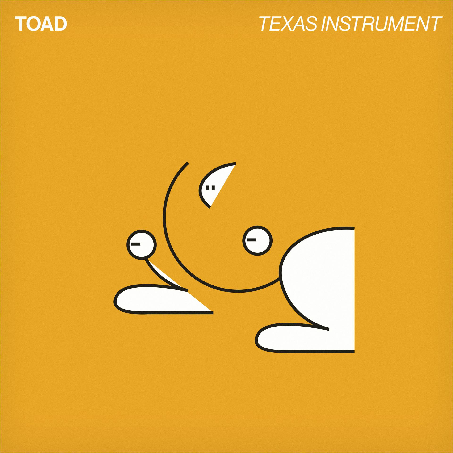 Постер альбома Texas Instrument