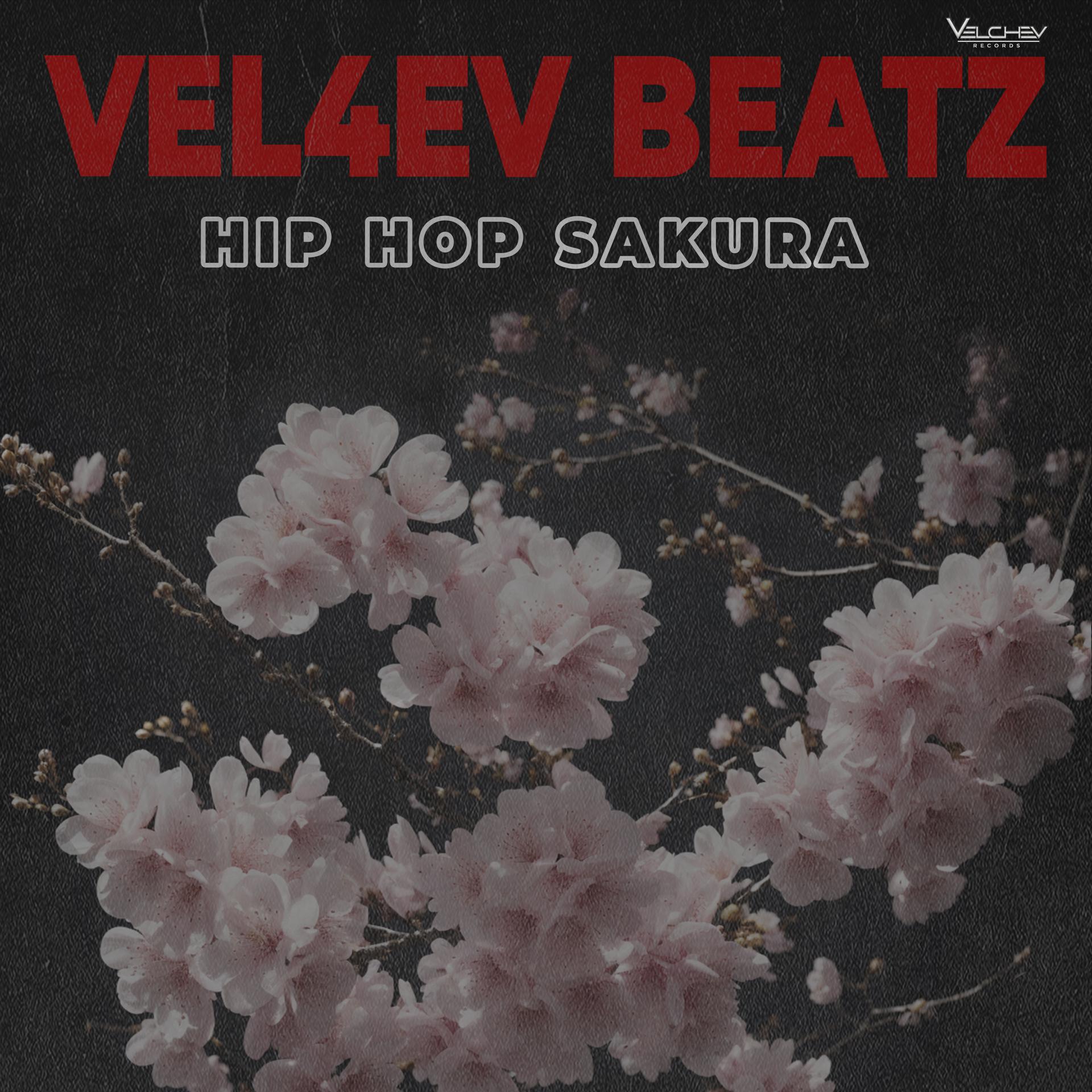 Постер альбома Hip Hop Sakura