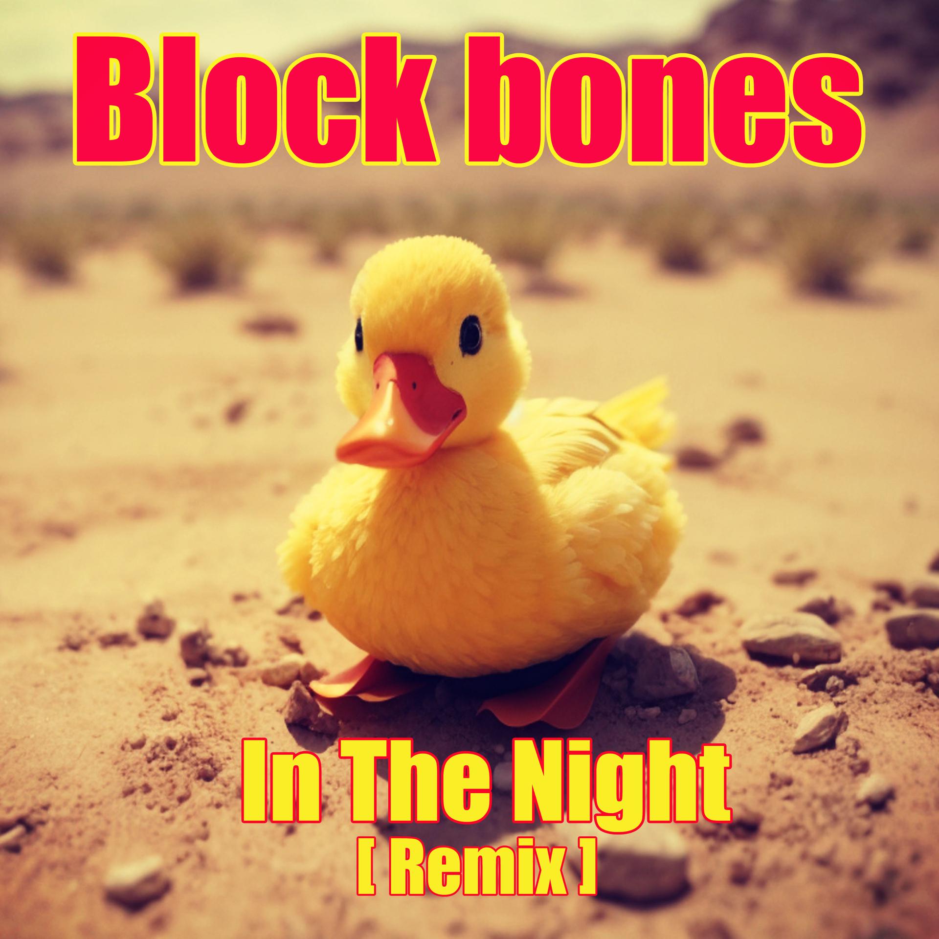 Постер альбома In the Night (Remix)