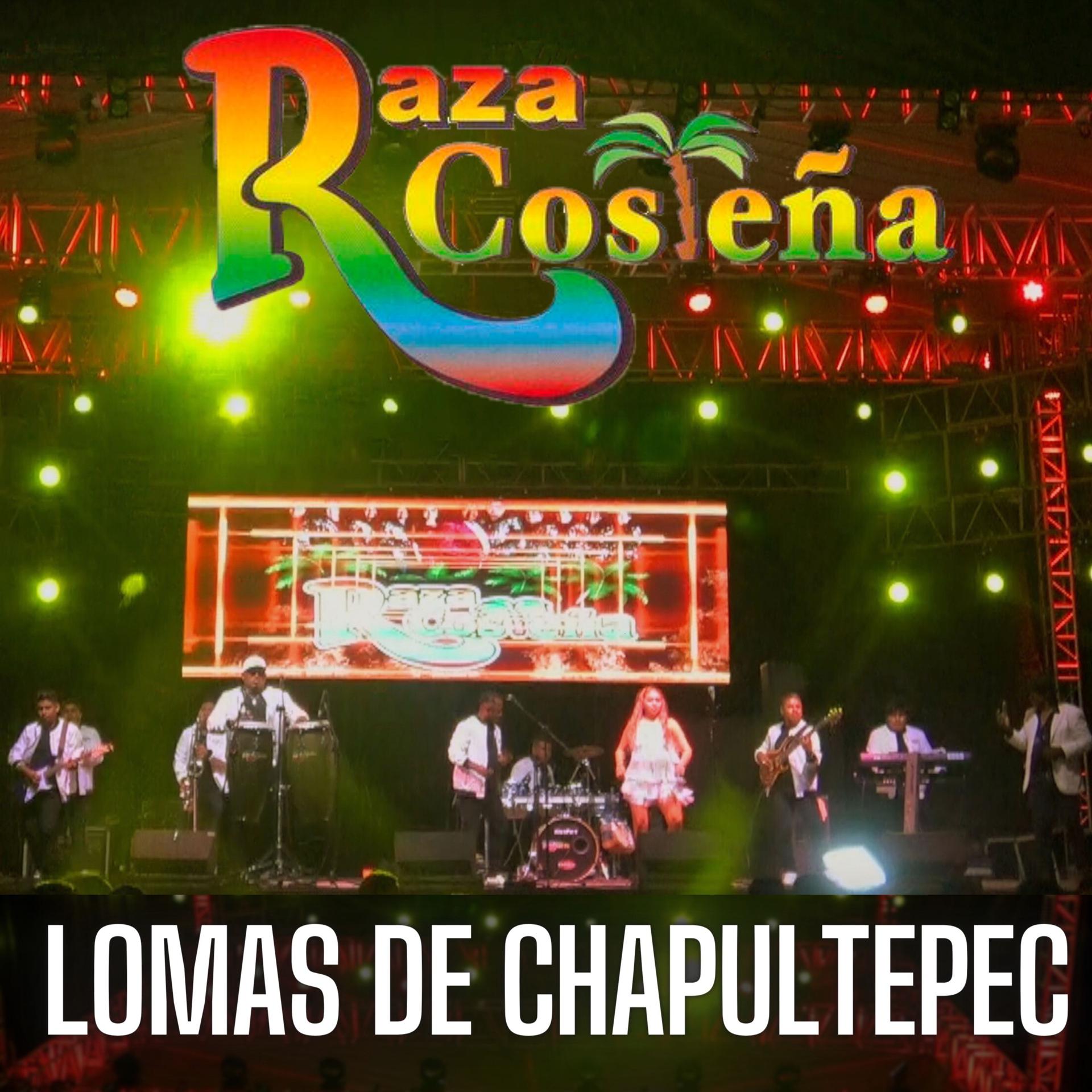 Постер альбома Lomas de Chapultepec