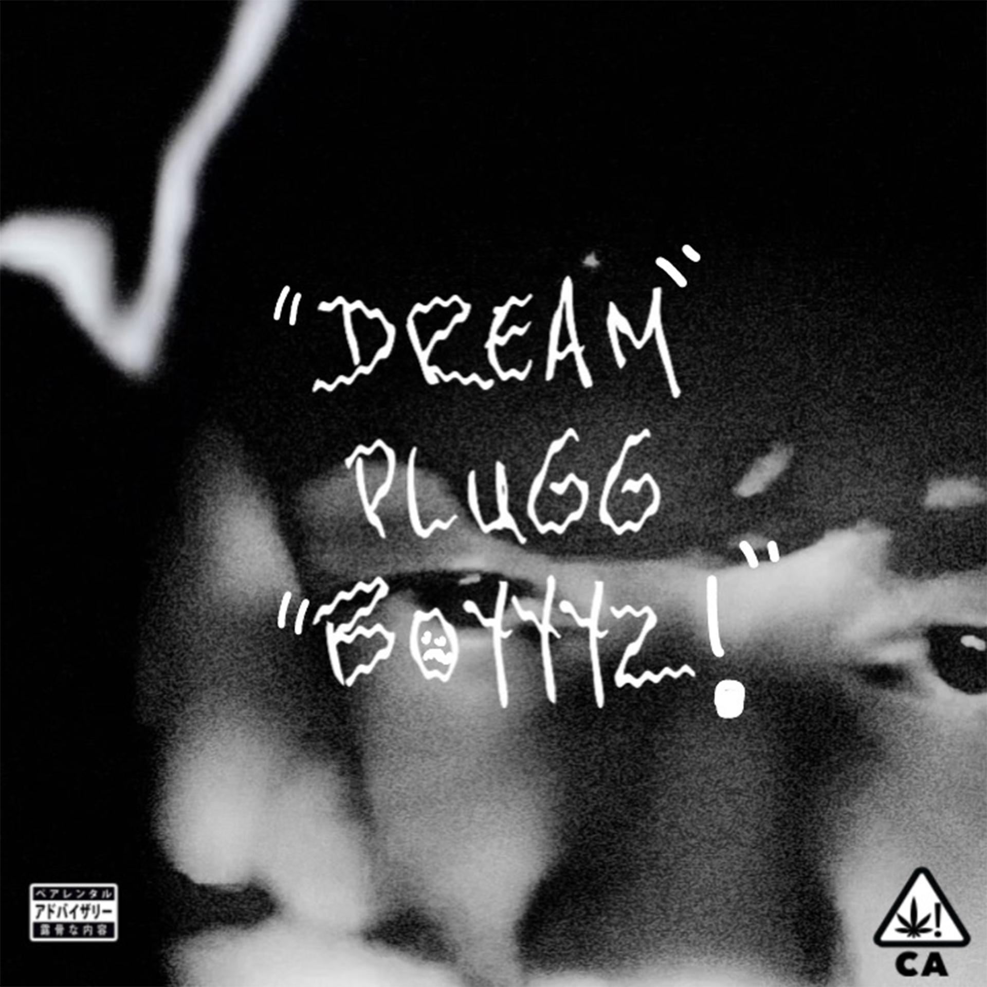 Постер альбома Dreampluggboyz