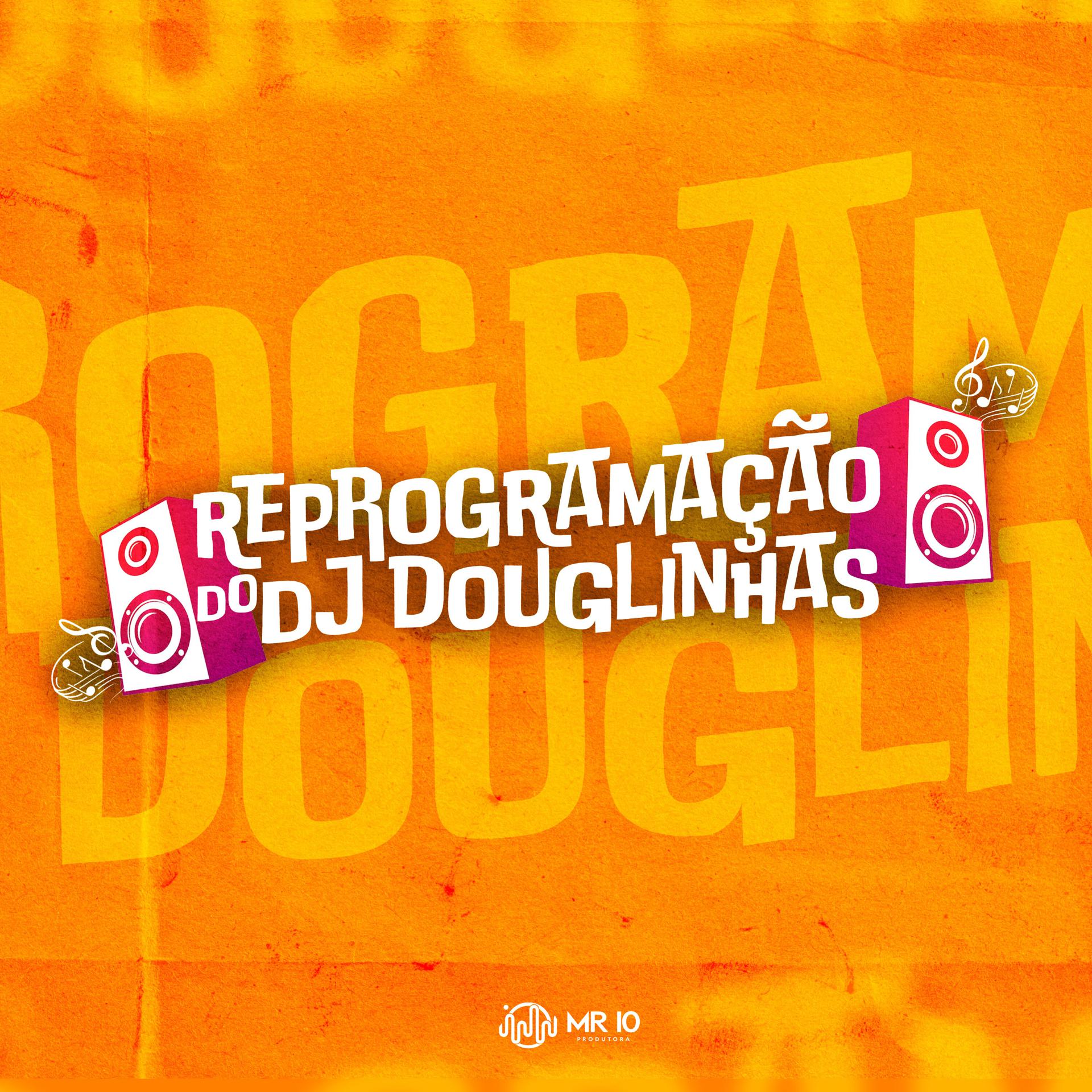 Постер альбома Reprogramação do Dj Douglinhas