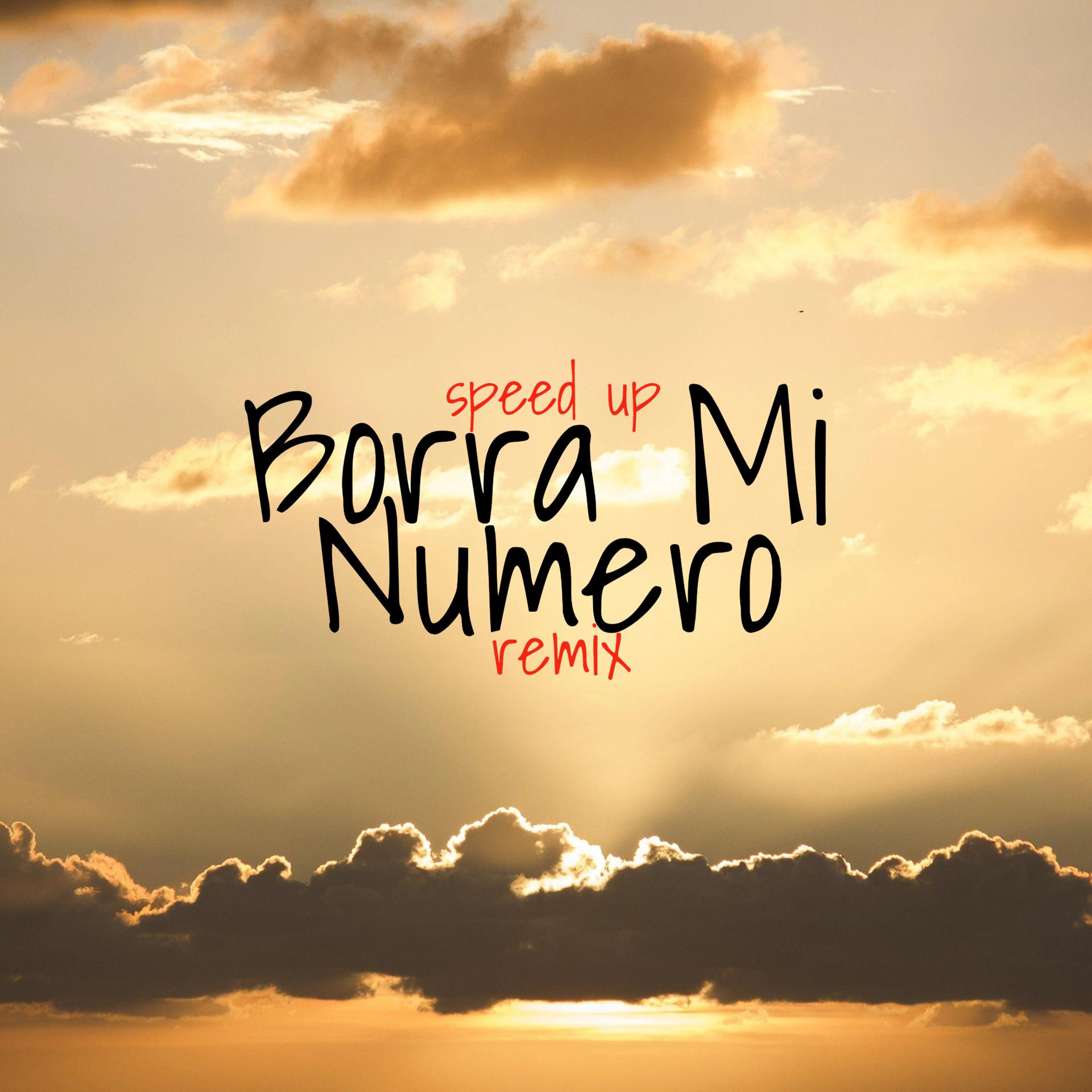 Постер альбома Borra Mi Numero Remix Speed Up