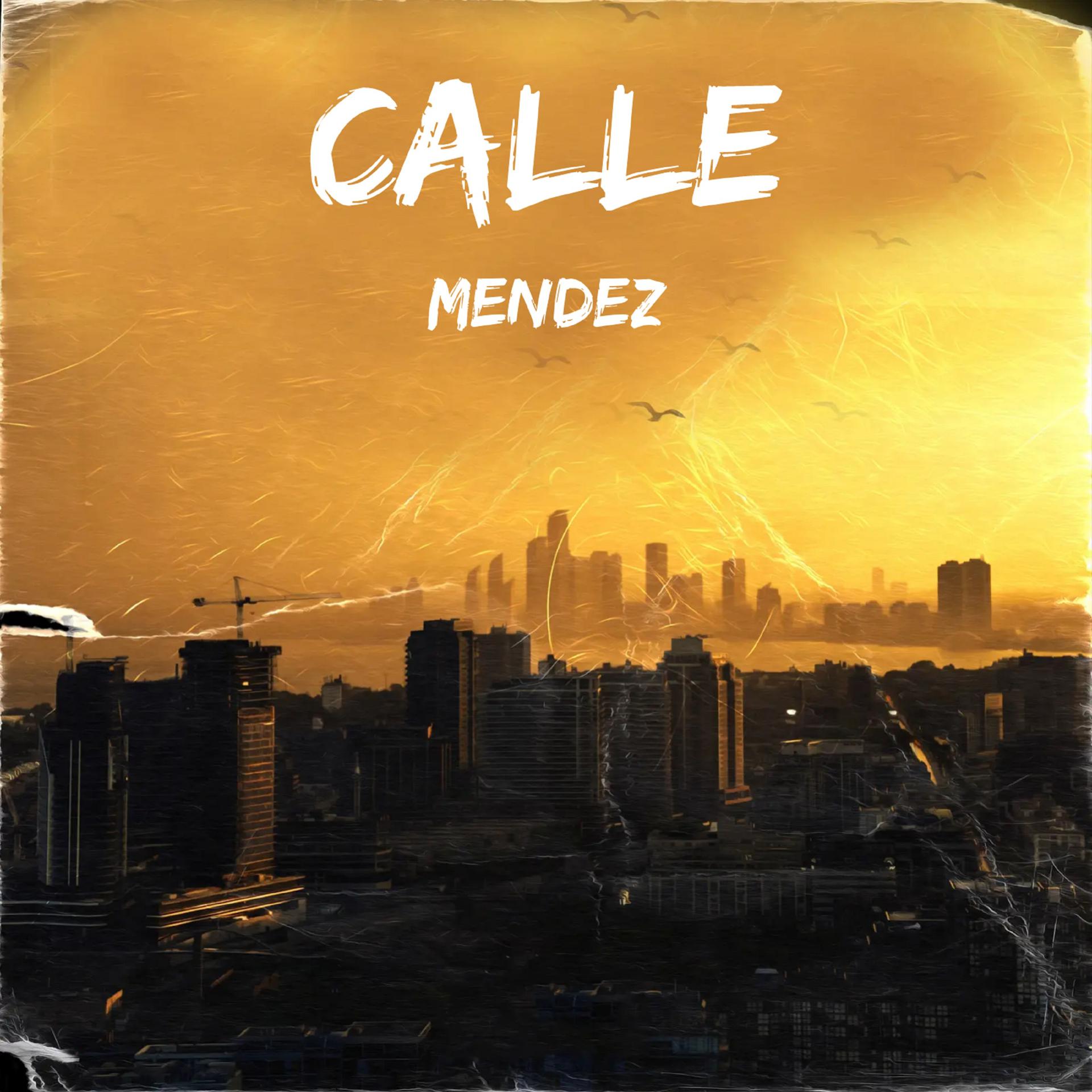 Постер альбома Calle