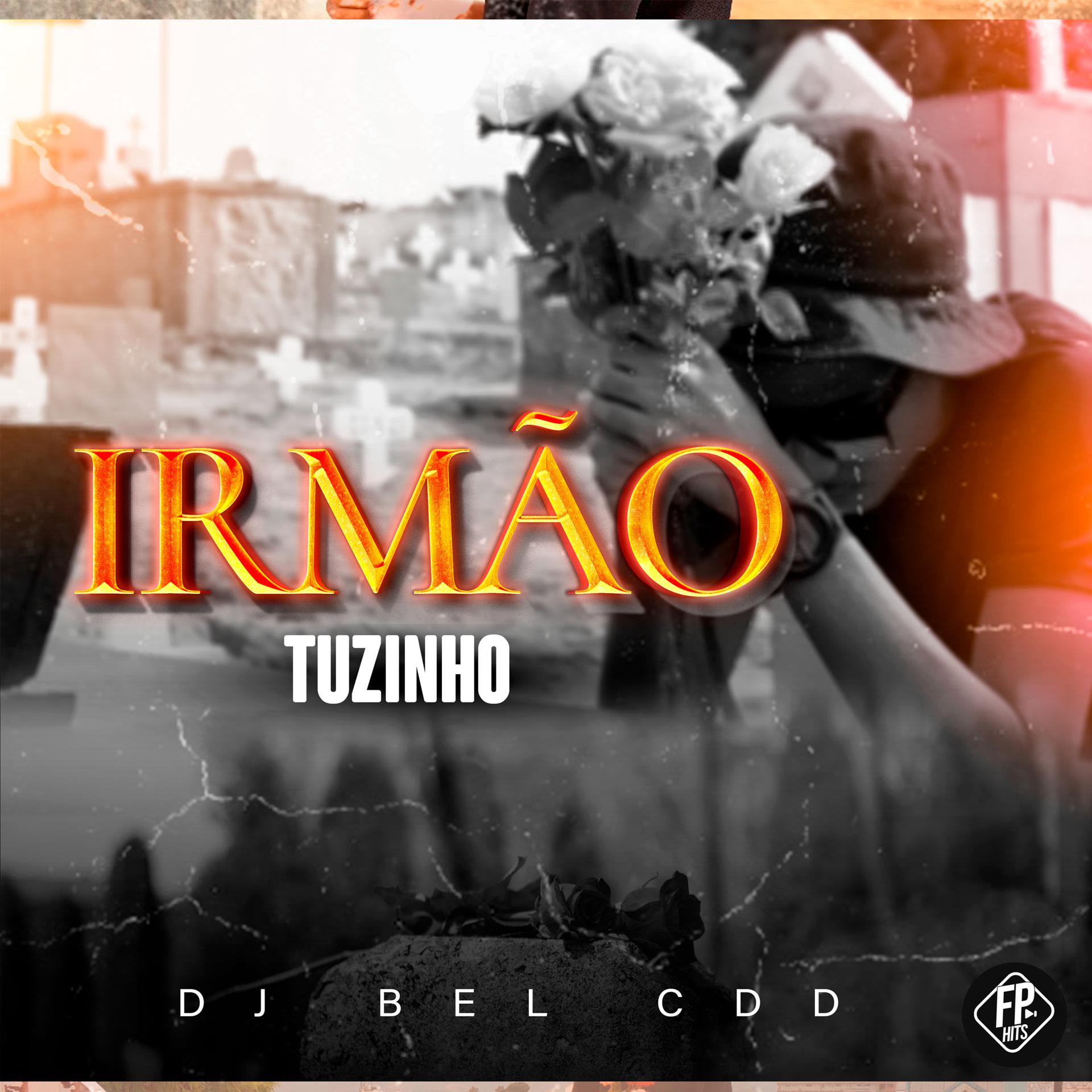 Постер альбома Irmão