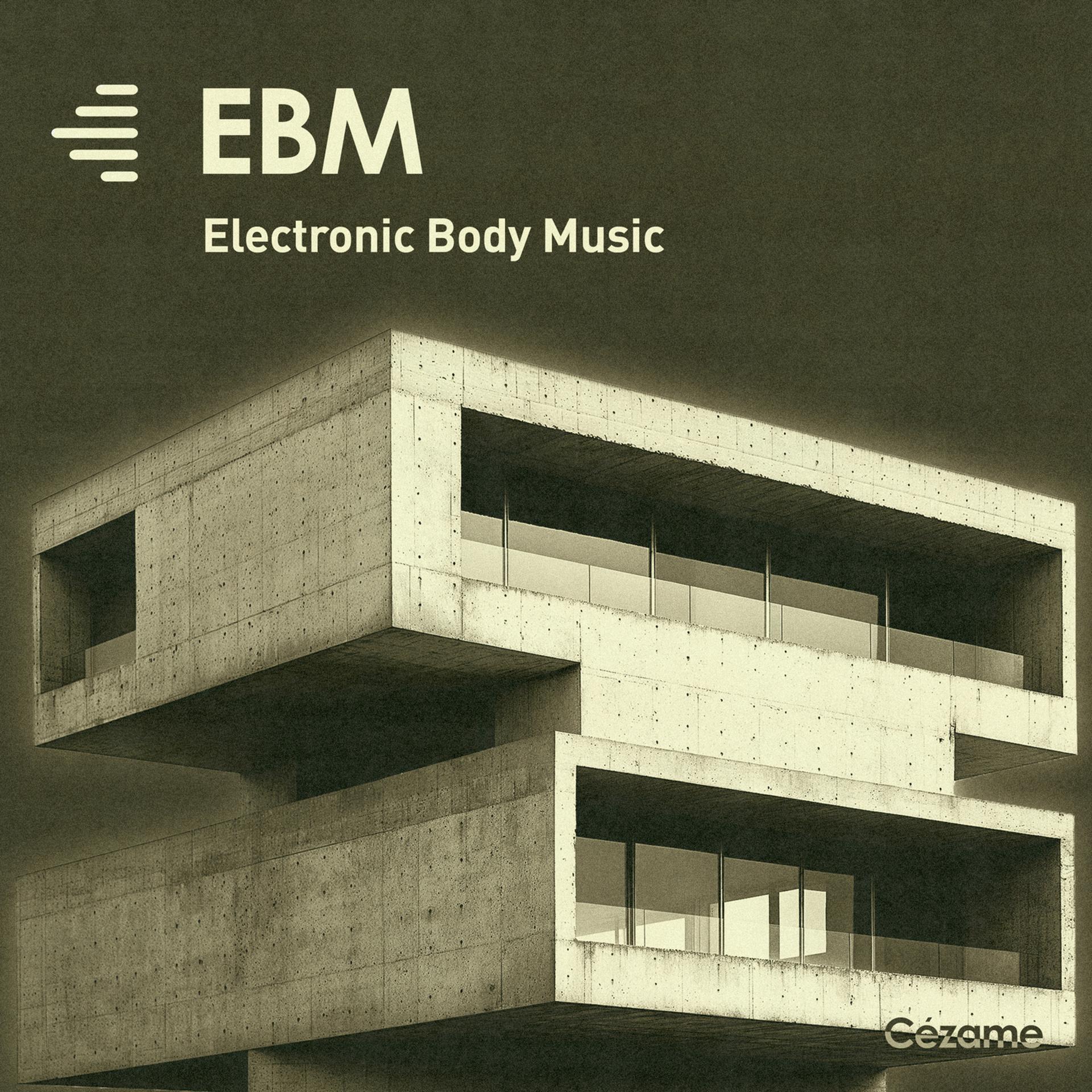 Постер альбома EBM - Electronic Body Music