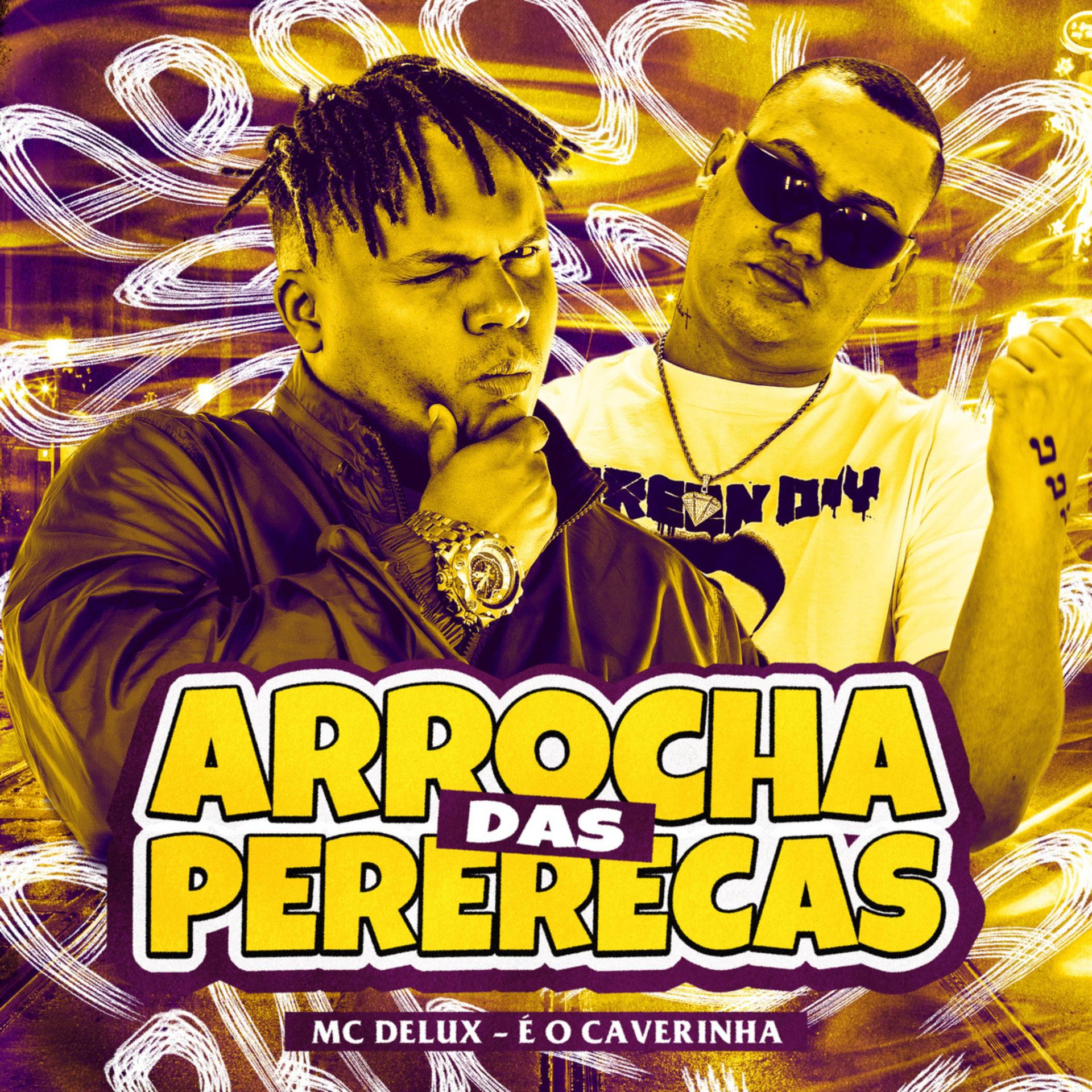 Постер альбома Arrocha das Pererecas