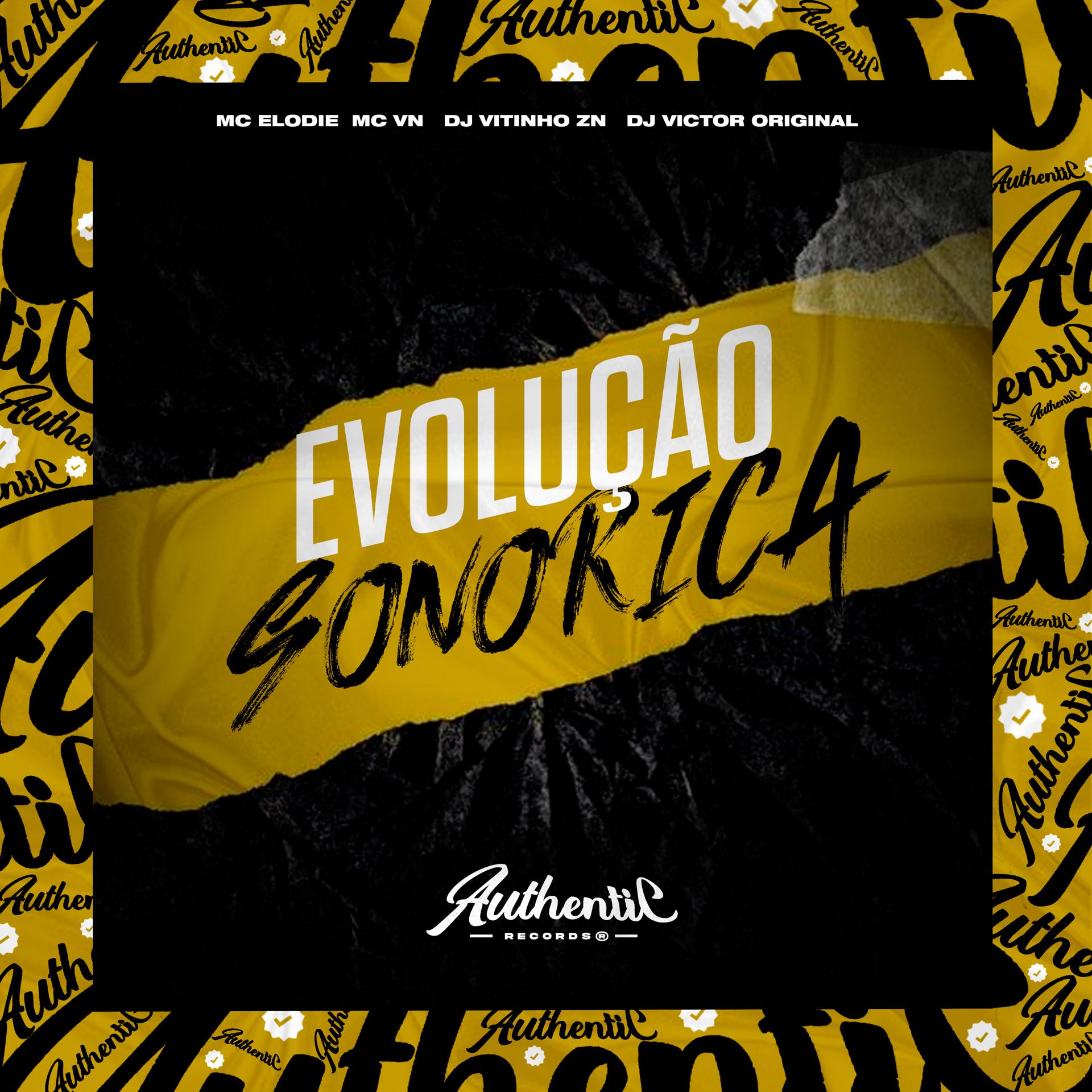 Постер альбома Evolução Sonorica
