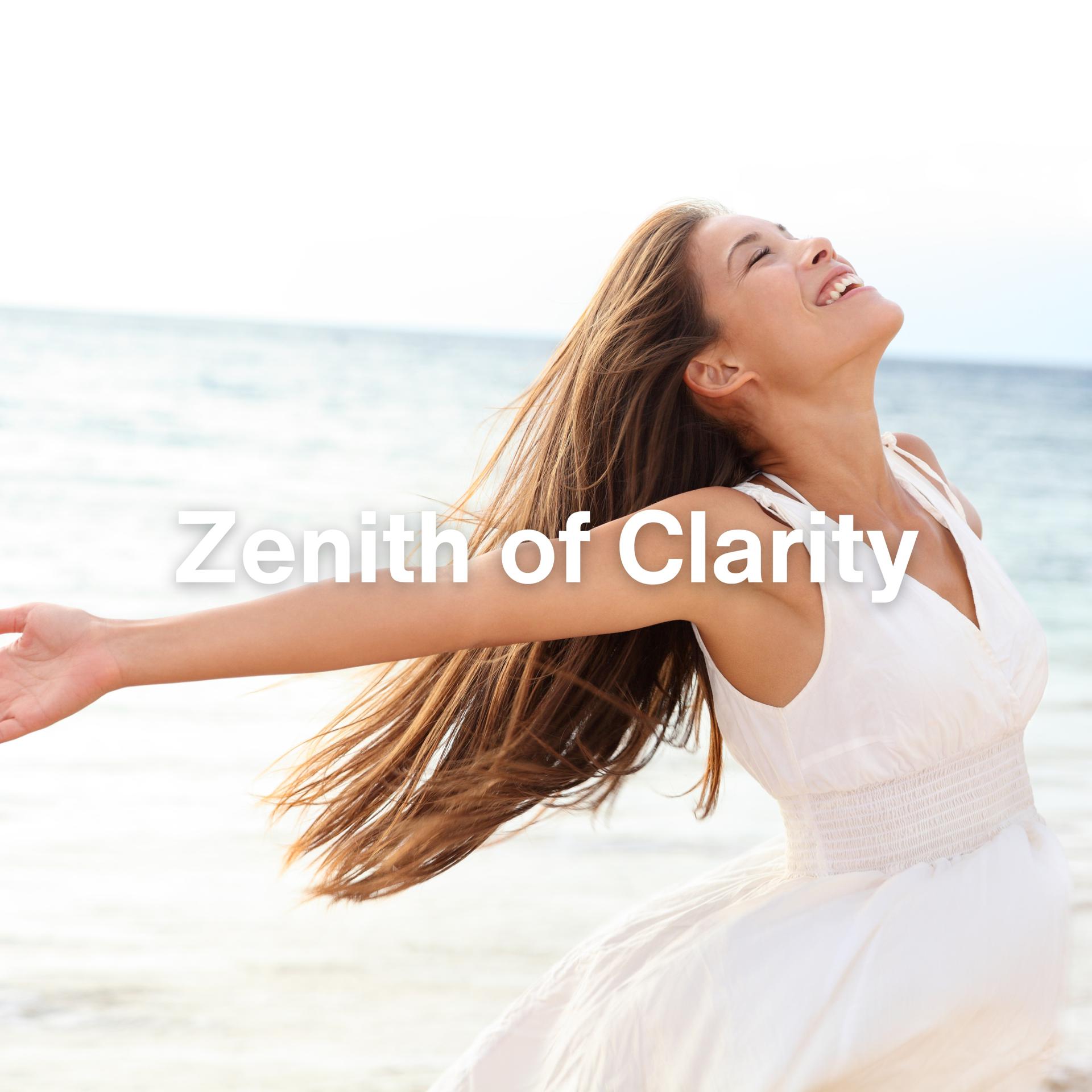 Постер альбома Zenith of Clarity