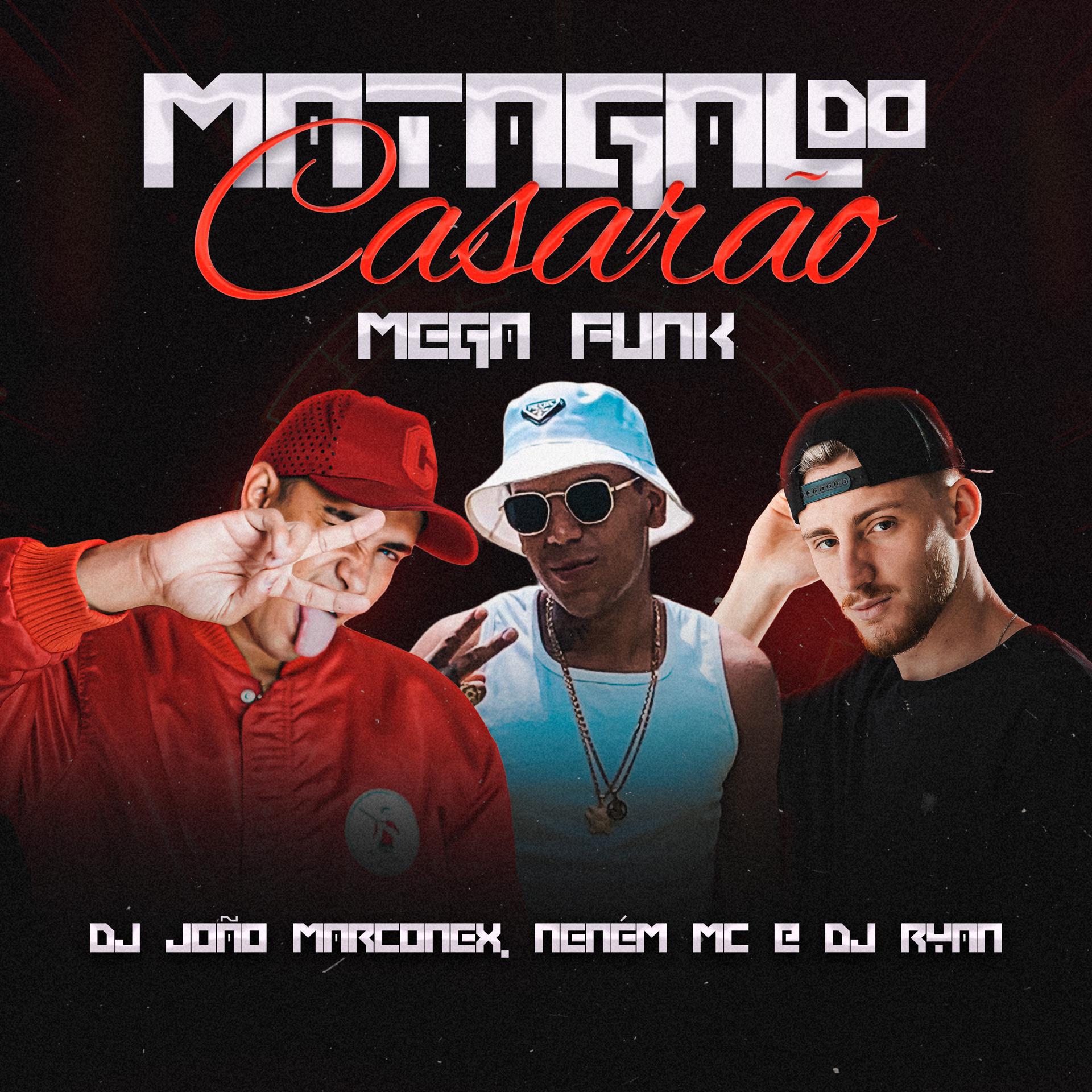 Постер альбома Matagal do Casarão Mega Funk