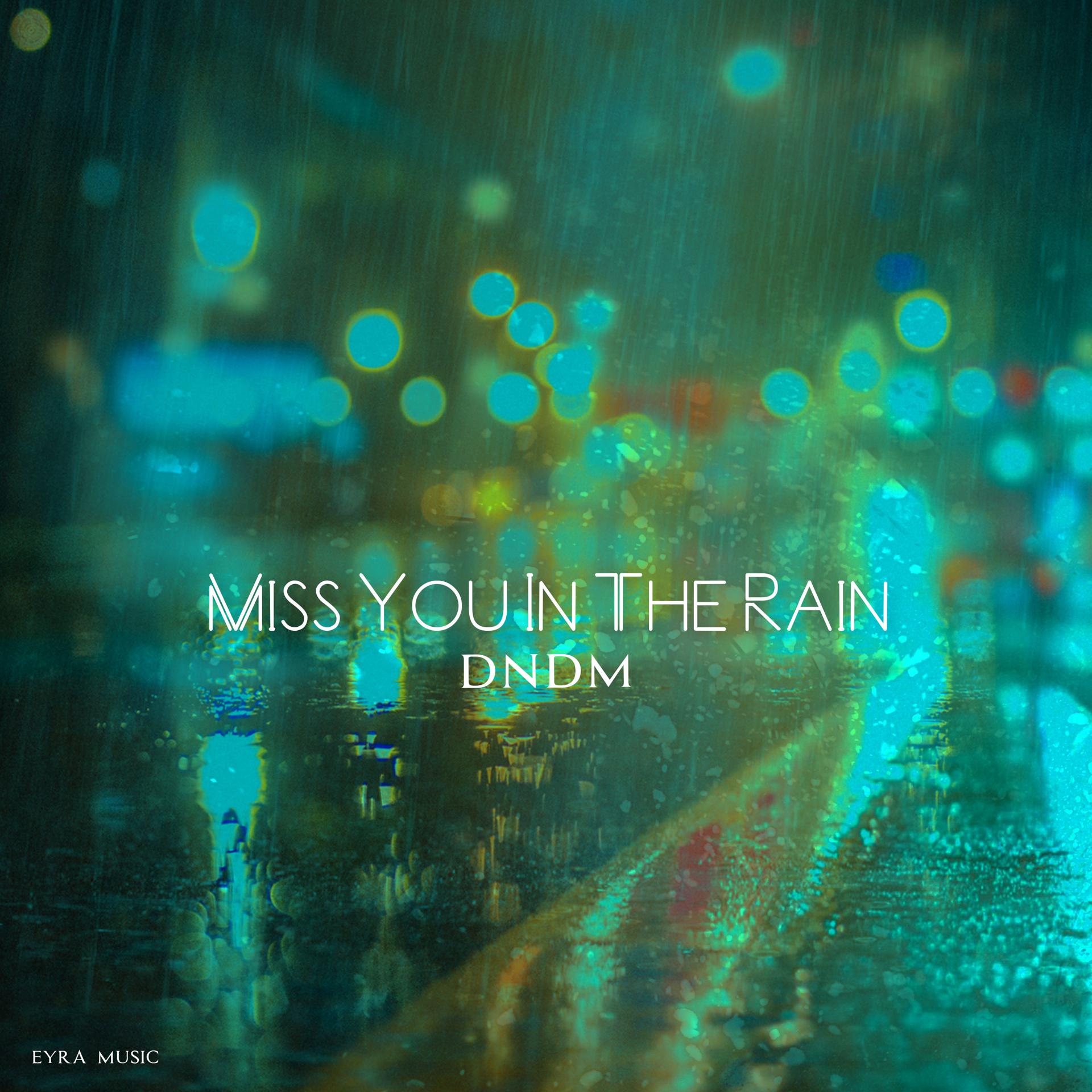 Постер альбома Miss You in the Rain