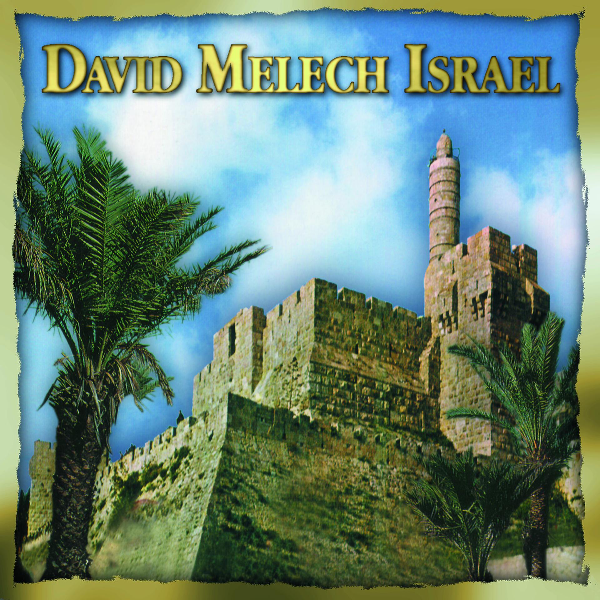 Постер альбома David Melech Israel