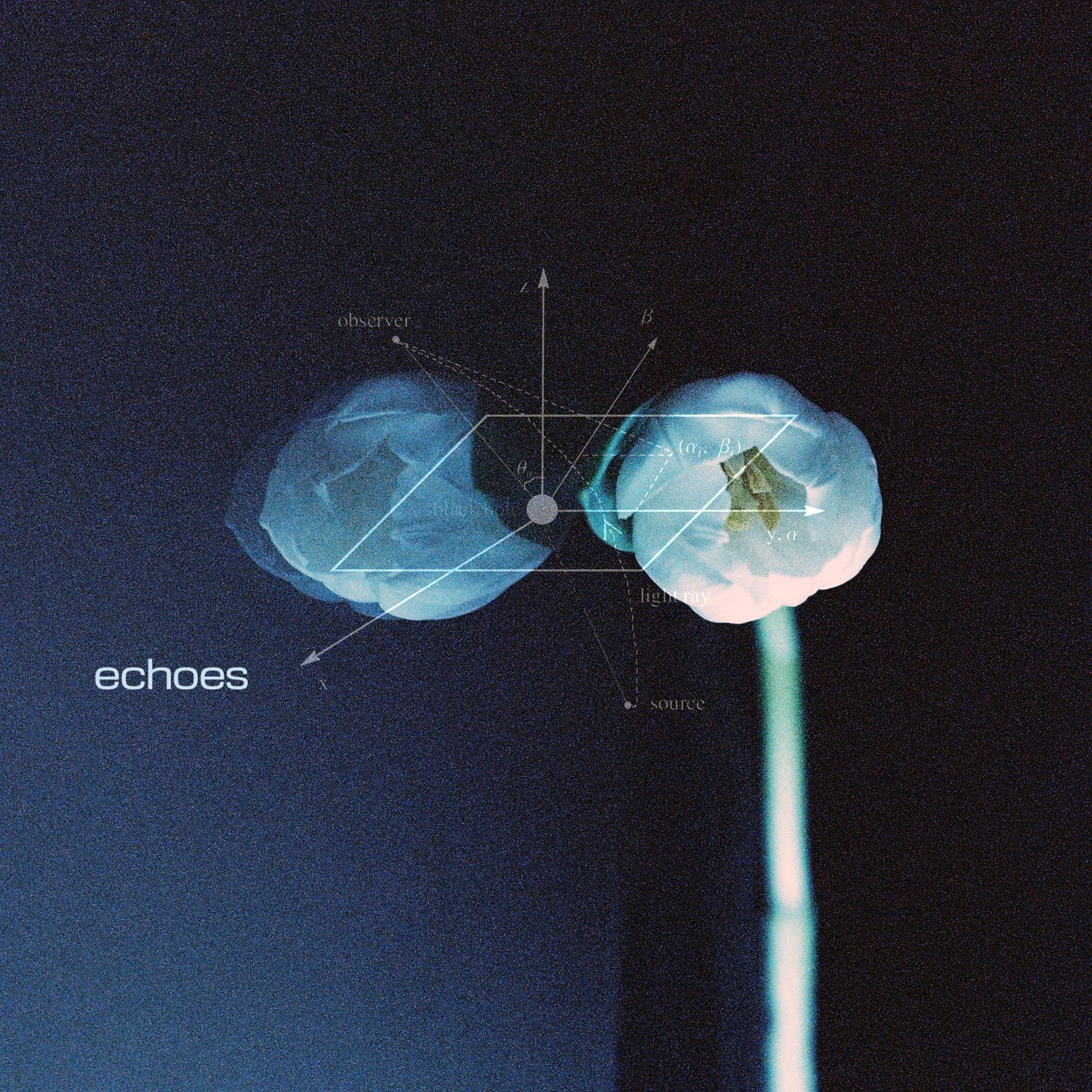 Постер альбома Echoes