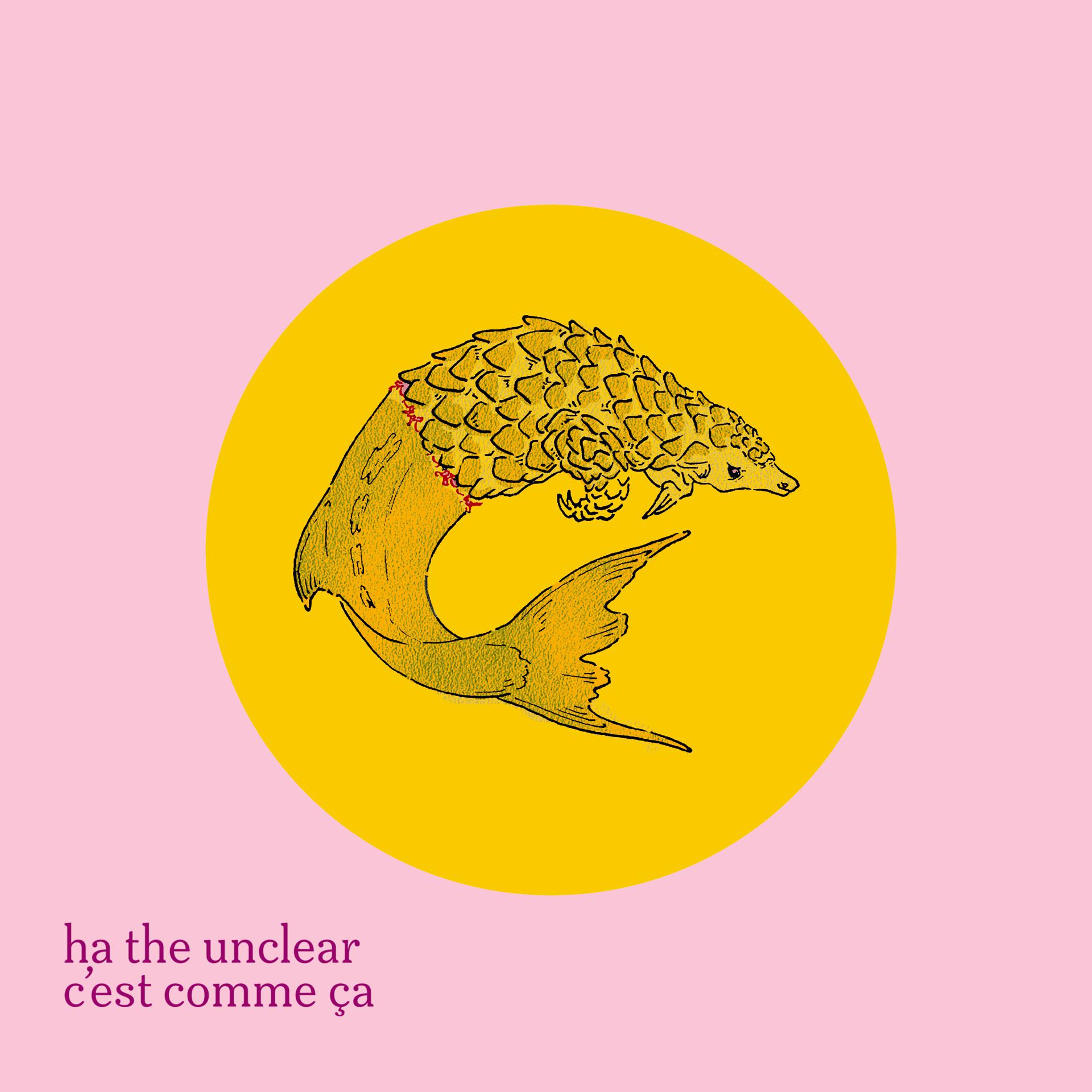 Постер альбома C'est Comme Ça
