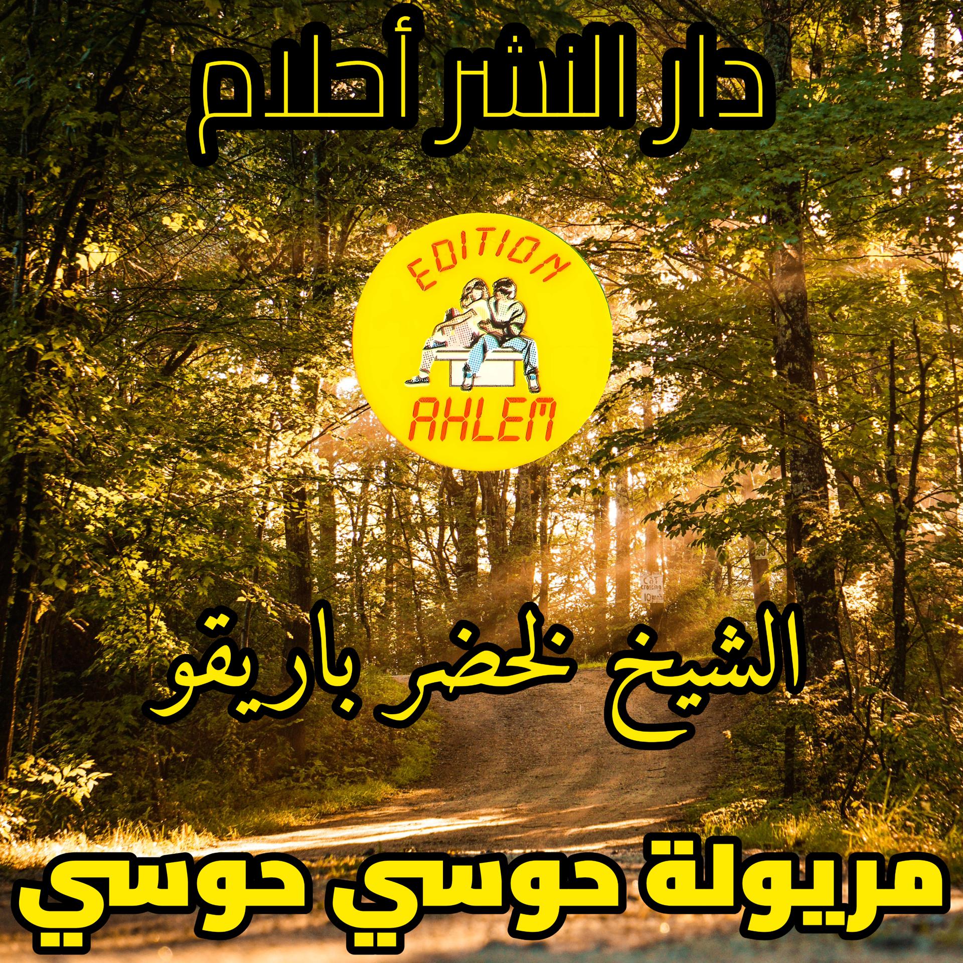 Постер альбома Meryoula Haoussi Hawssi