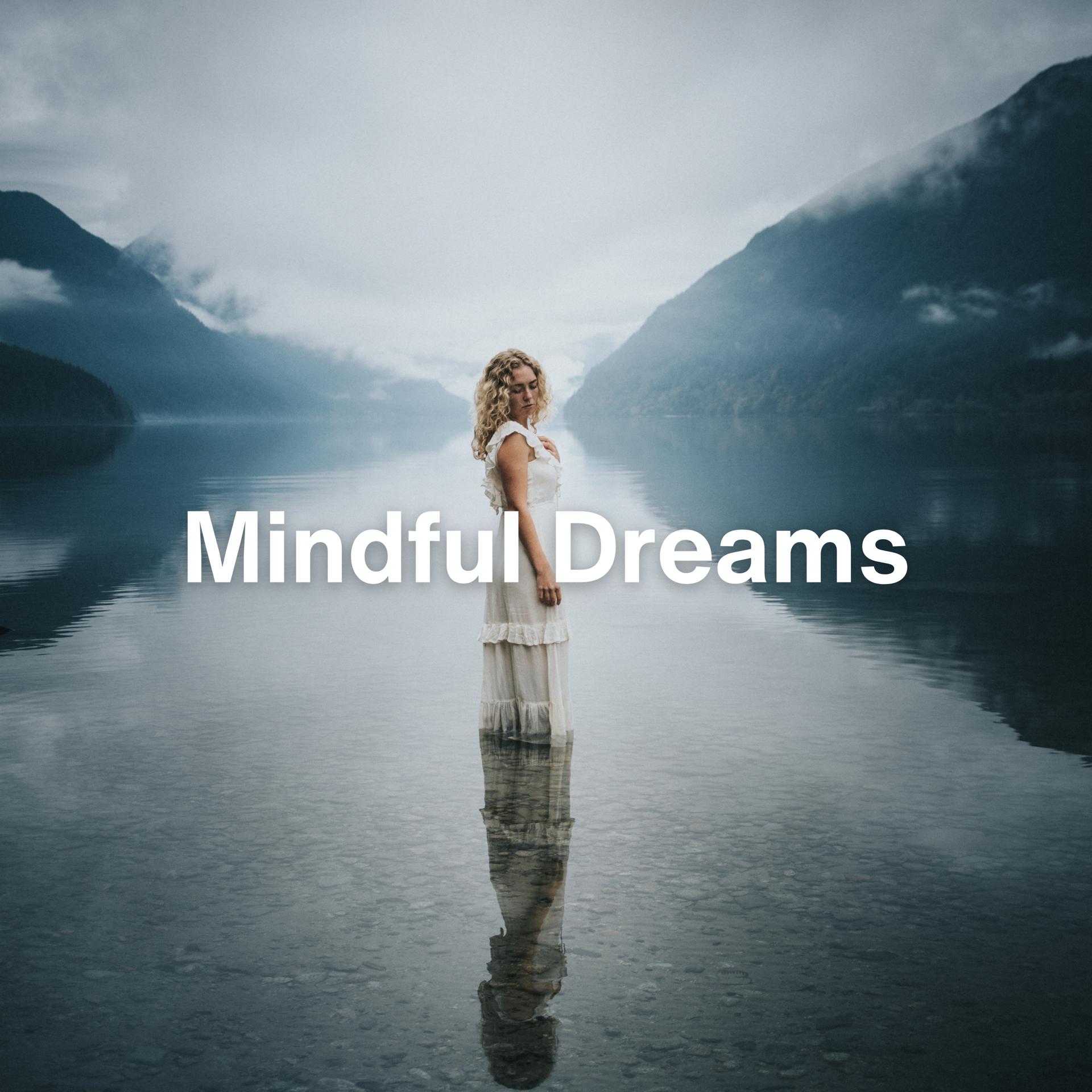Постер альбома Mindful Dreams