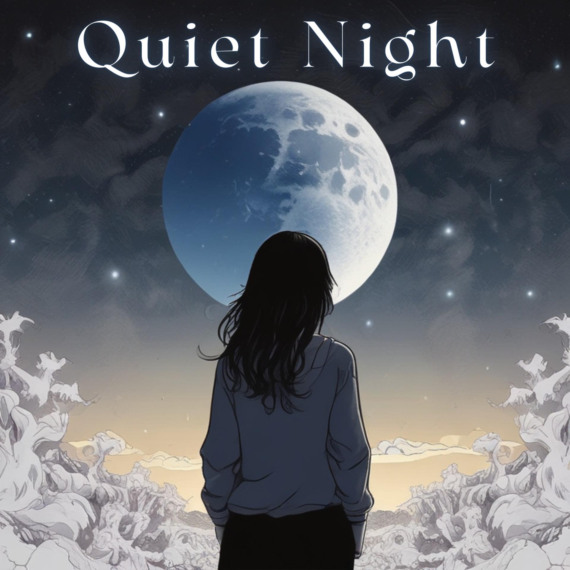 Постер альбома Quiet Night