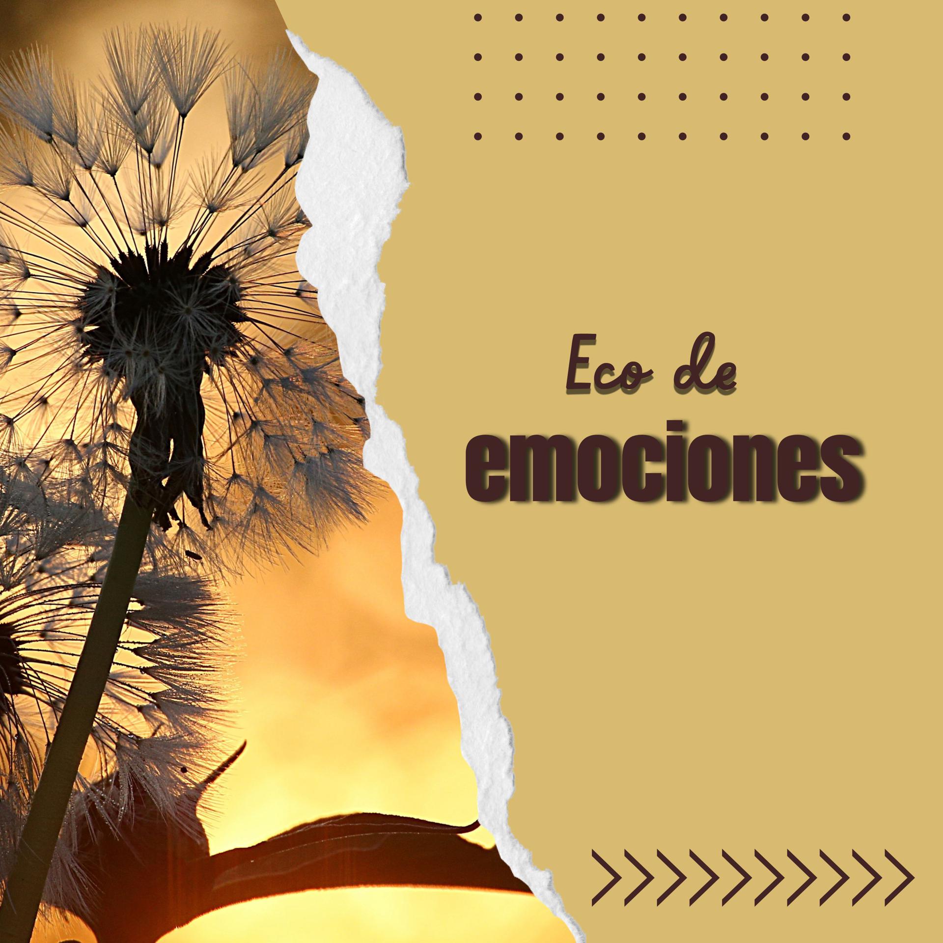 Постер альбома Eco de emociones
