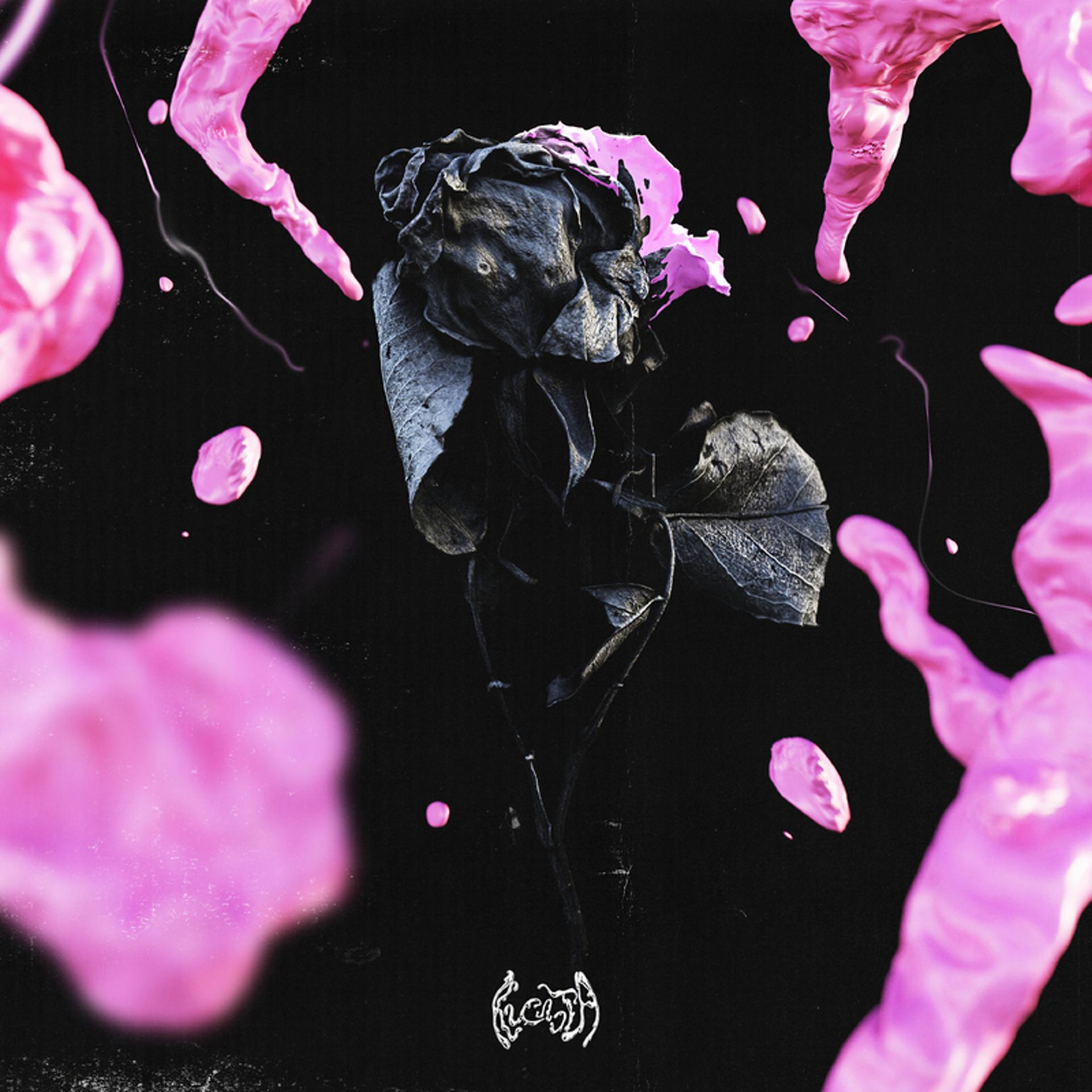 Постер альбома Чёрные розы