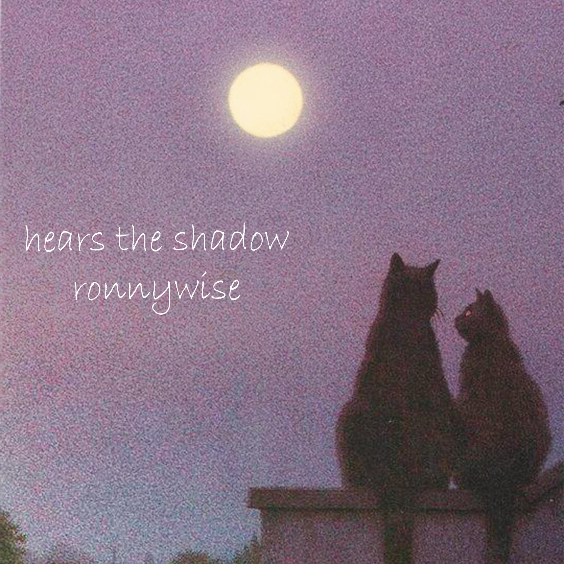 Постер альбома hears the shadow