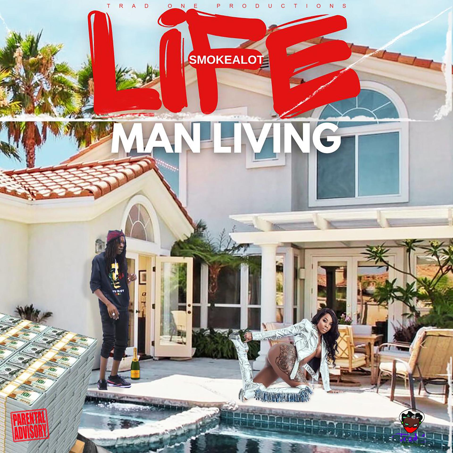 Постер альбома Life Man Living