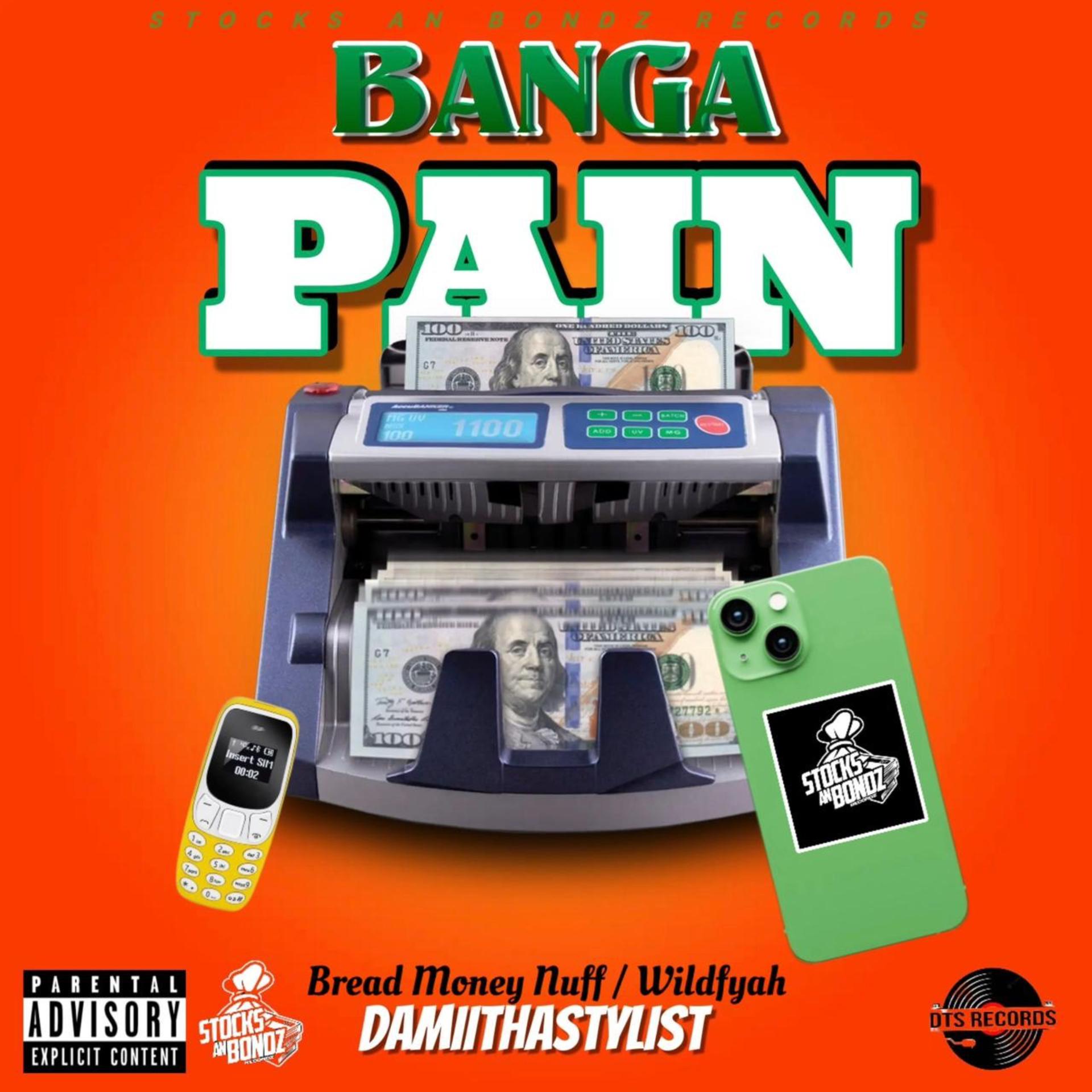 Постер альбома Banga Pain