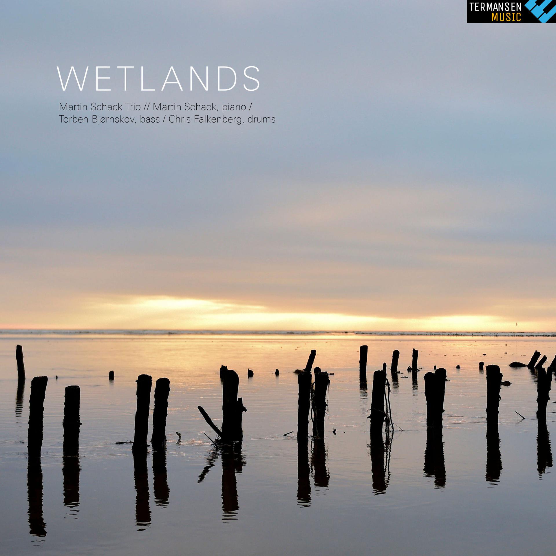 Постер альбома Wetlands